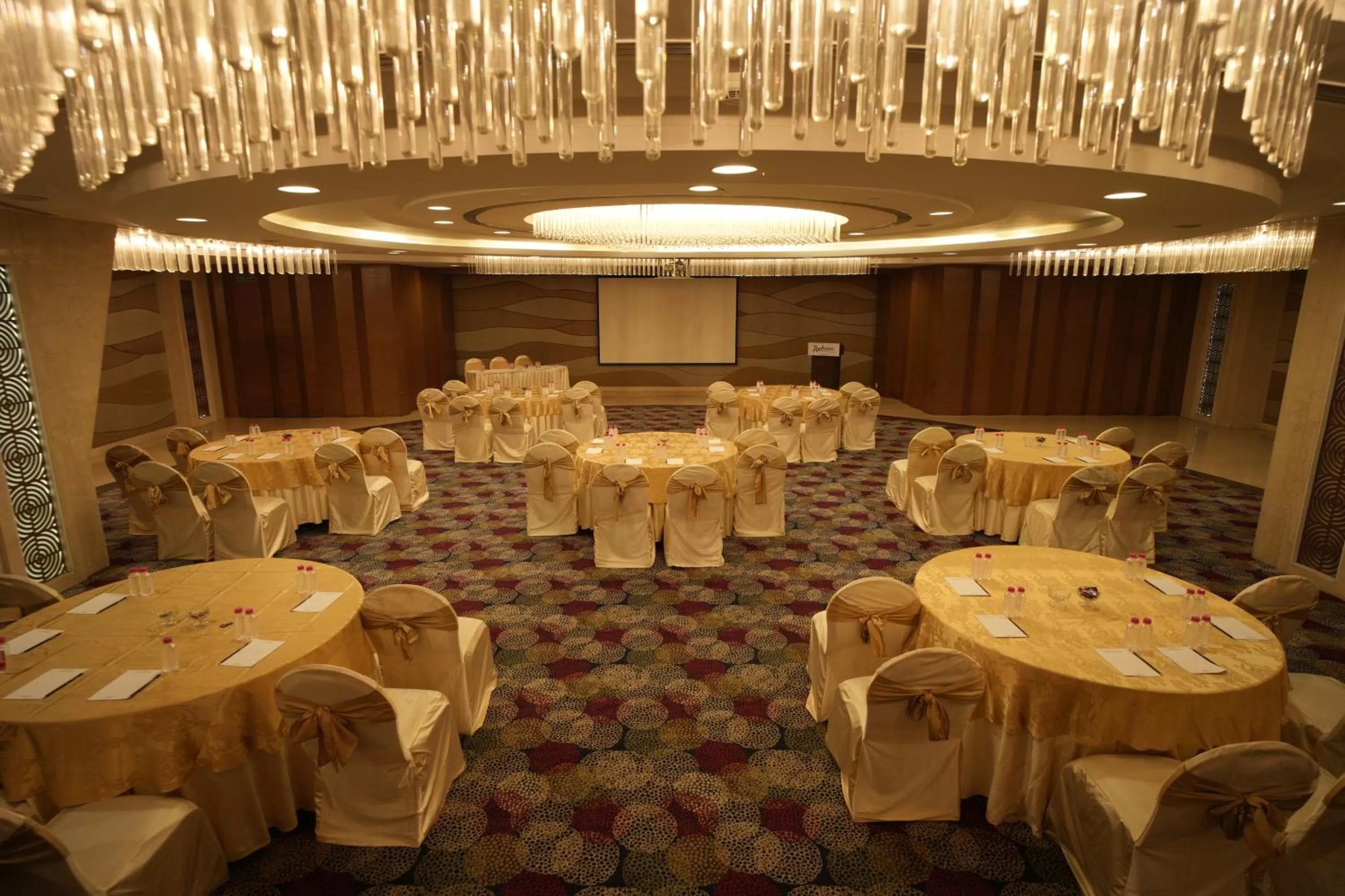 Banquet/Function facilities in Radisson Udaipur