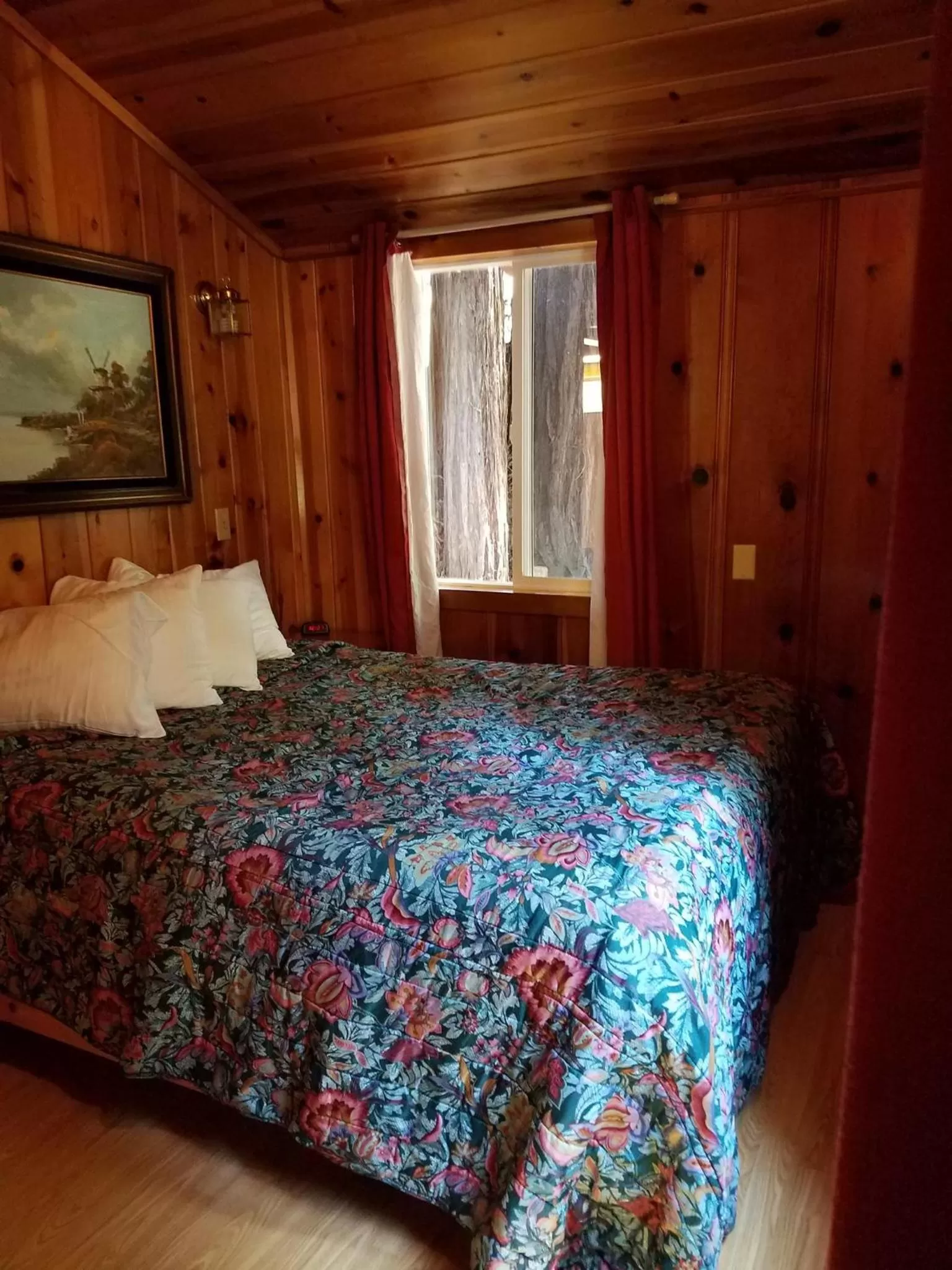 One-Bedroom Deluxe Cabin (Cabin 4) in Fern River Resort