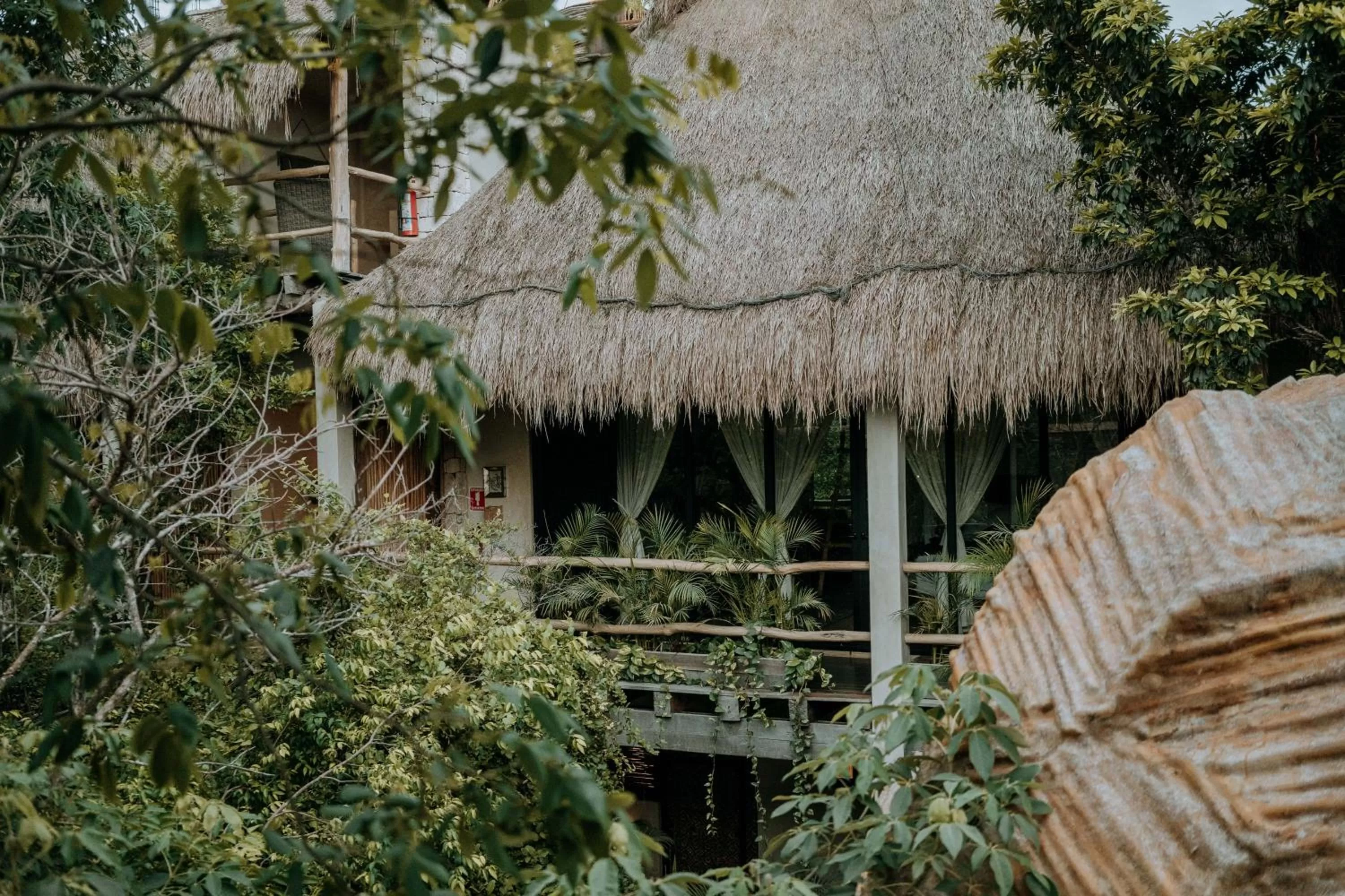 Natural landscape in Orchid House Tulum Jungle