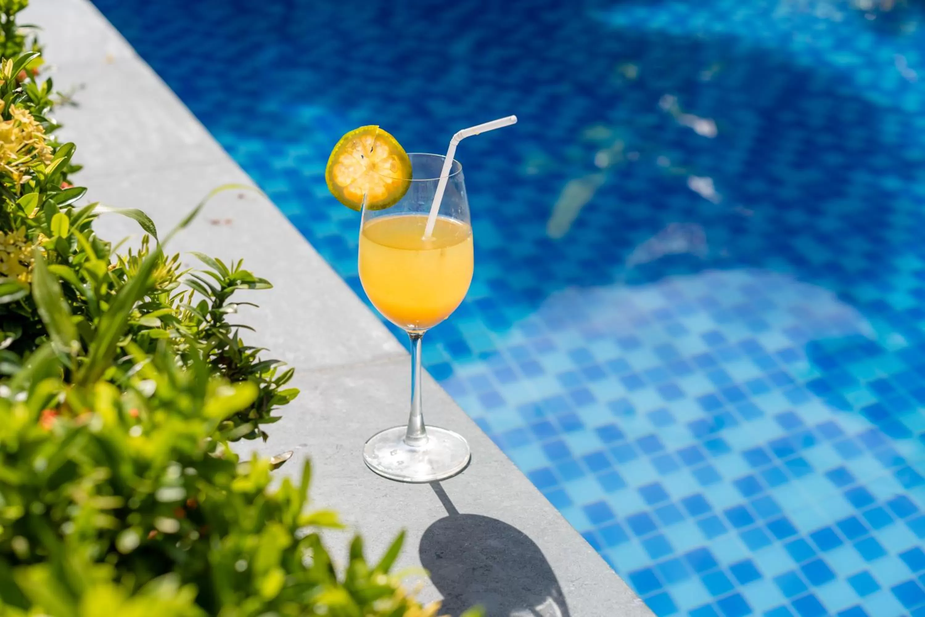 Swimming Pool in La Belle Anbang Homestay