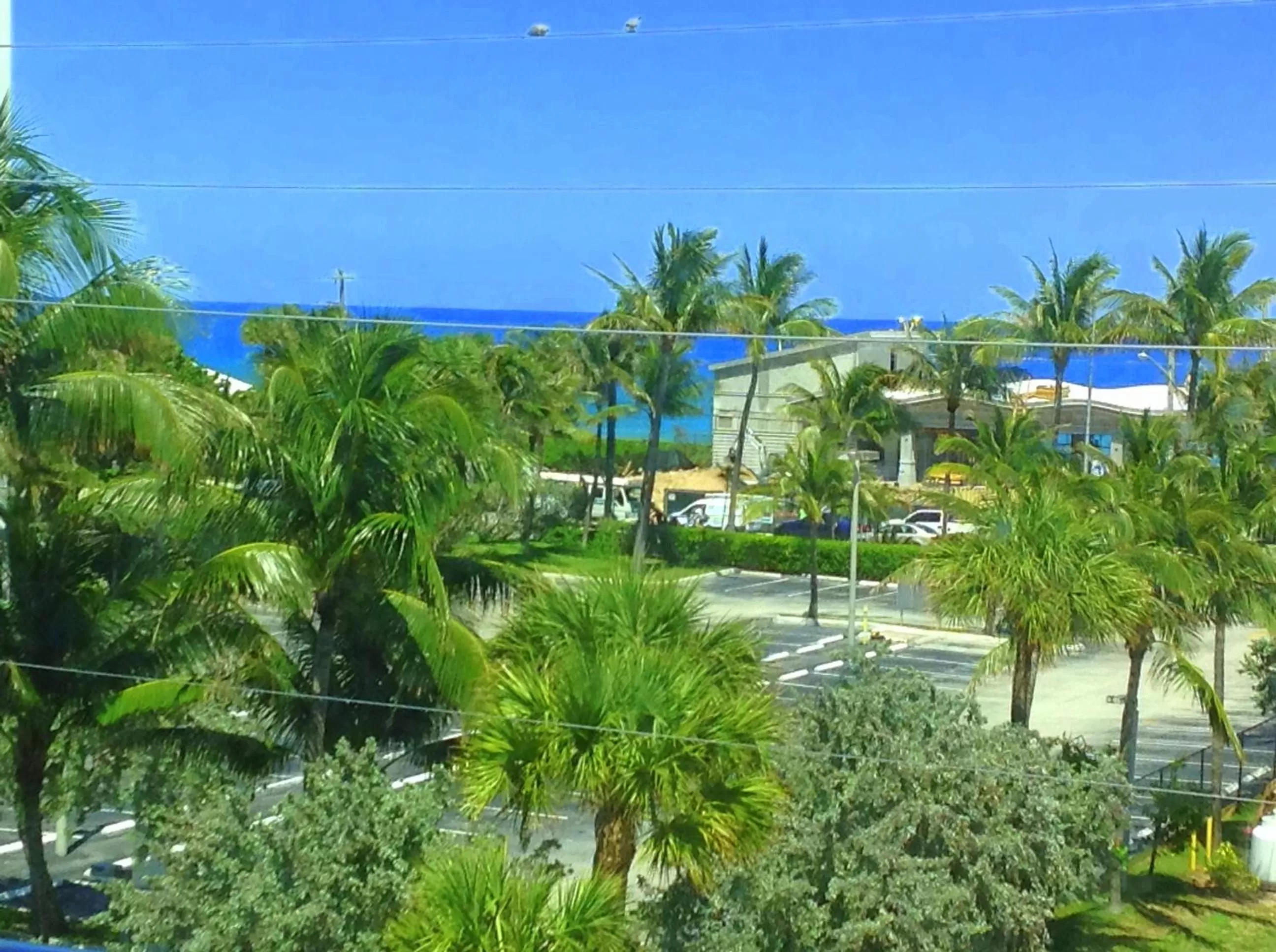 Natural landscape in Vistalmar Beach Resort