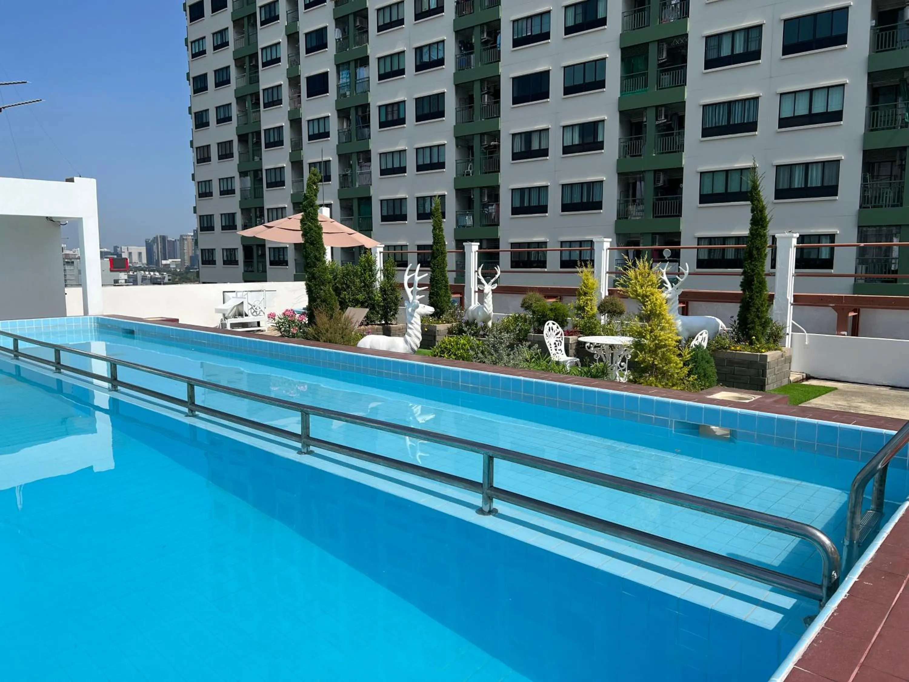 Swimming pool in Elizabeth Hotel