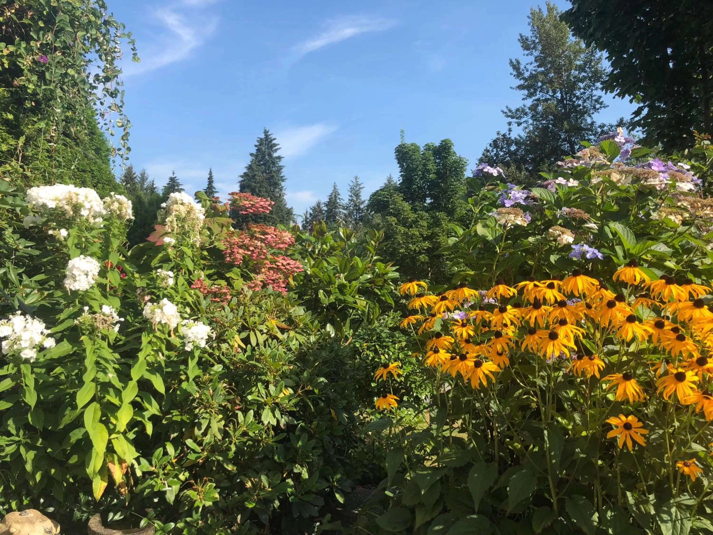 Garden view in Jane's private rooms with shared washroom