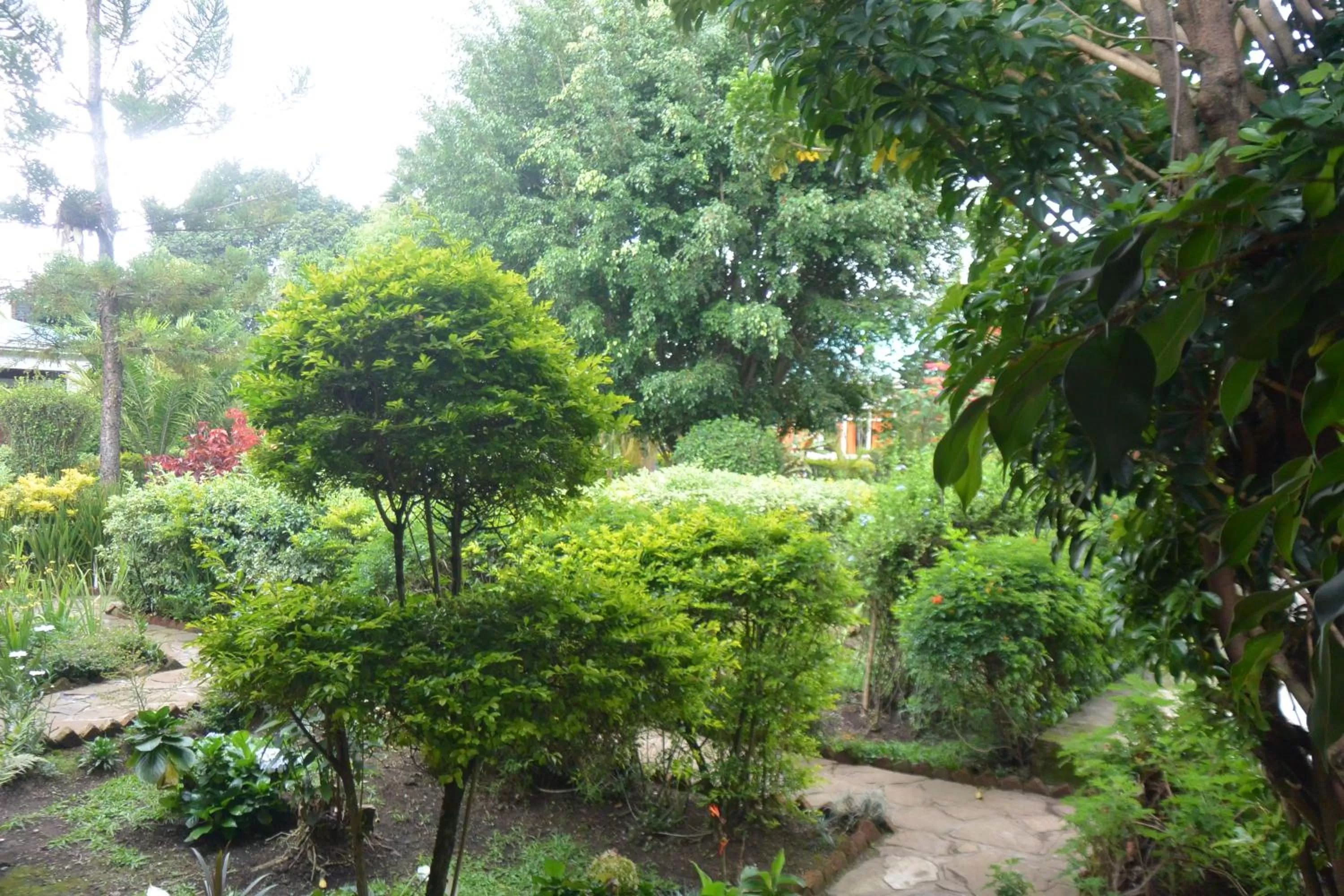 Garden in Isange Paradise Resort