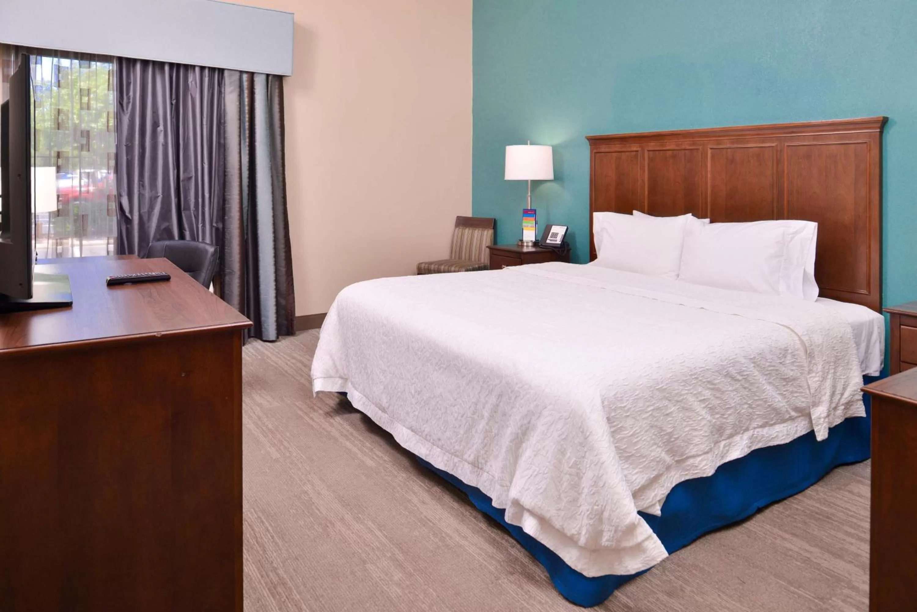 King Room with Bath Tub- Hearing Accessible/ Non-Smoking in Hampton Inn by Hilton Decatur