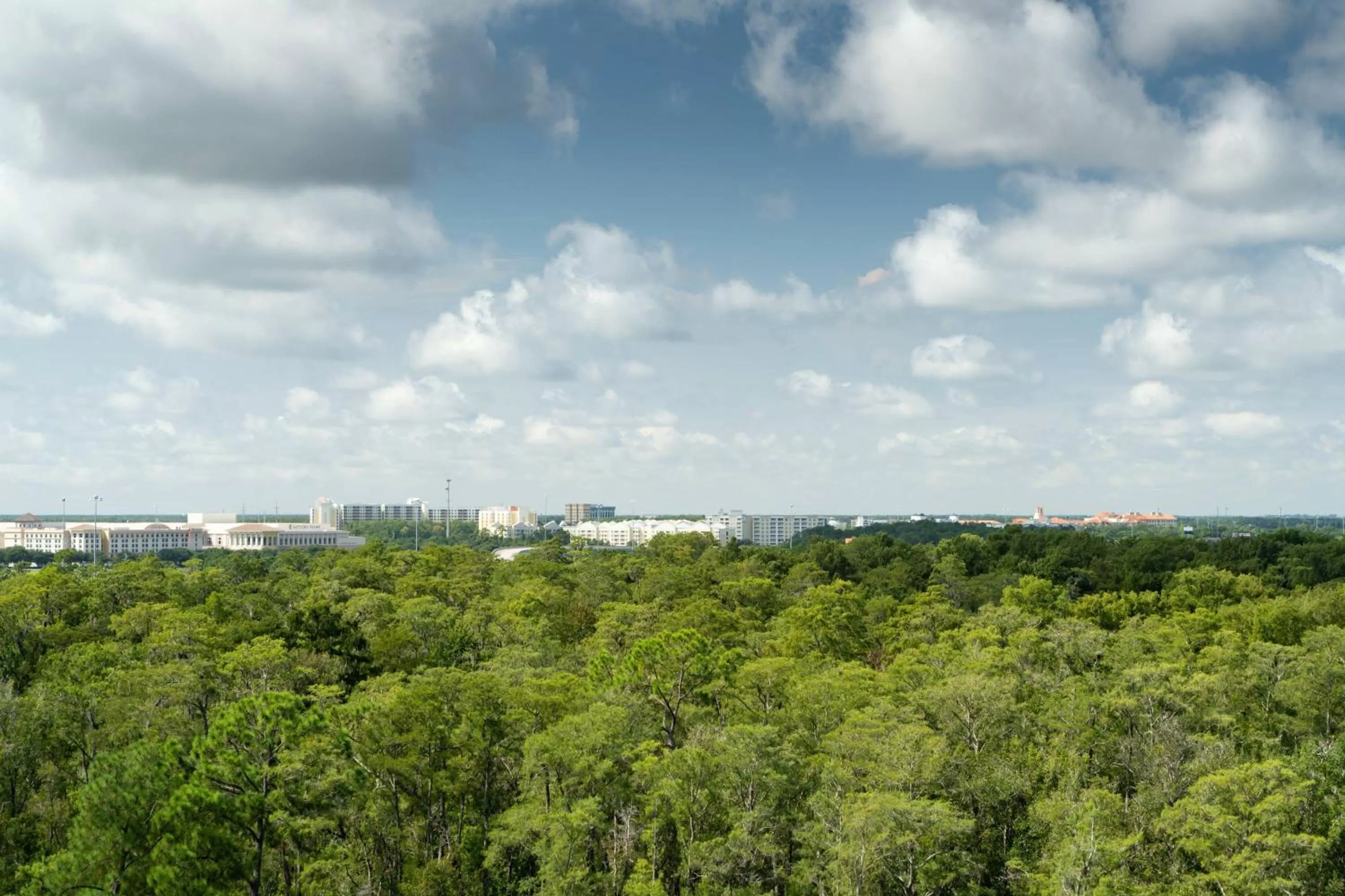 Photo of the whole room in JW Marriott Orlando Bonnet Creek Resort & Spa