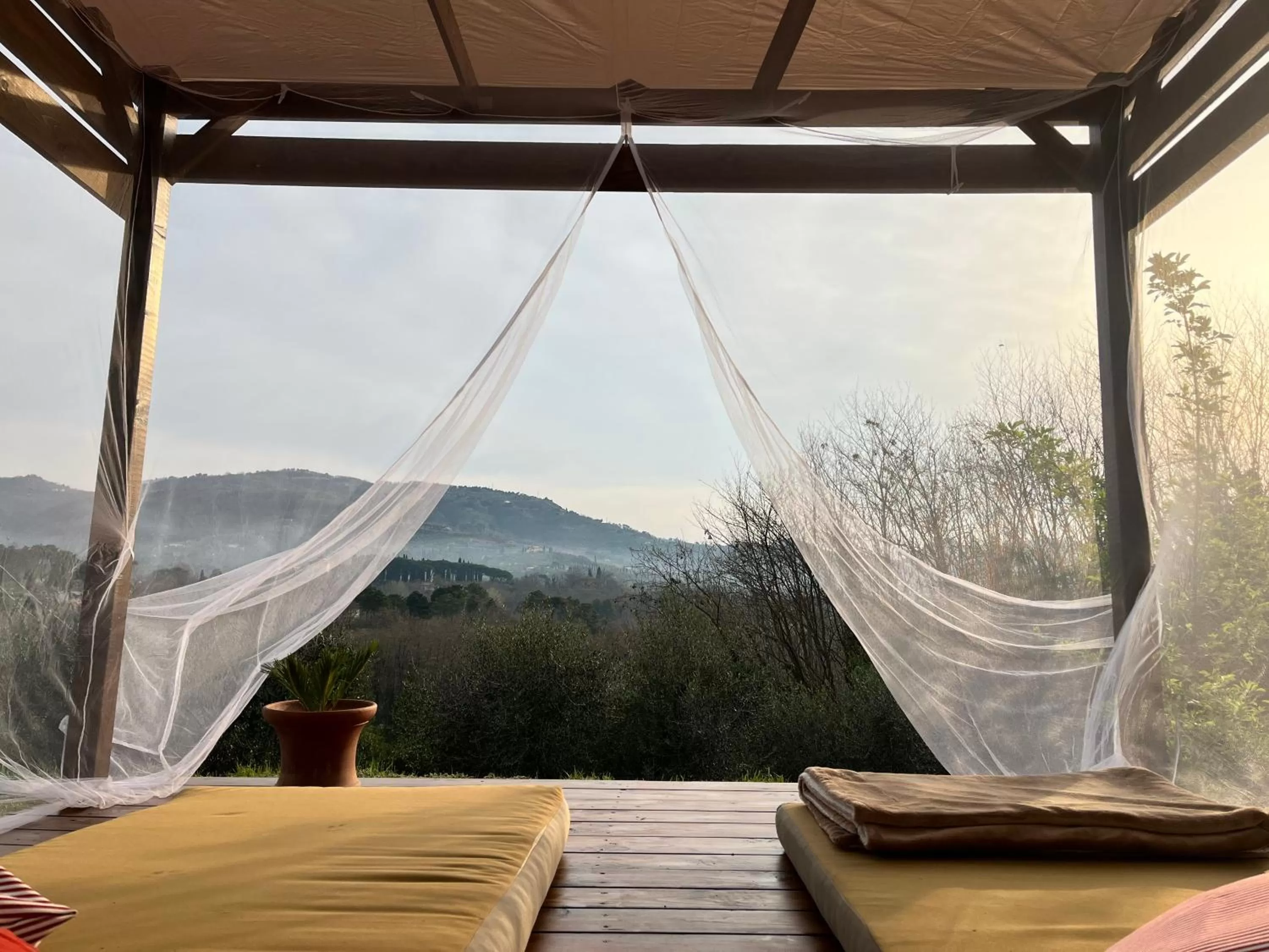 Garden in Casa del Pino