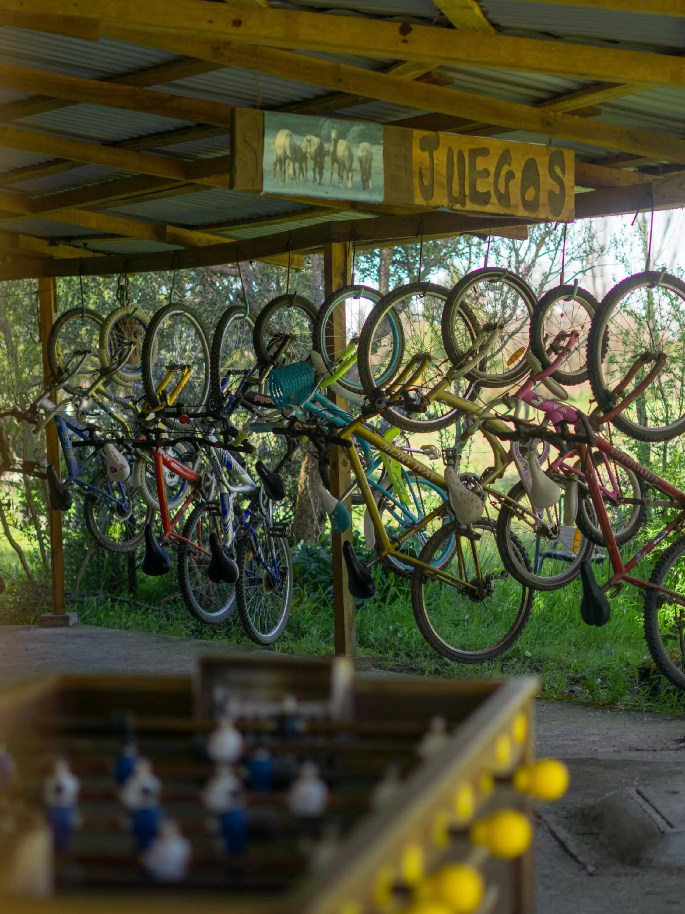 Coyunche Cabañas y Camping Laja & San Rosendo