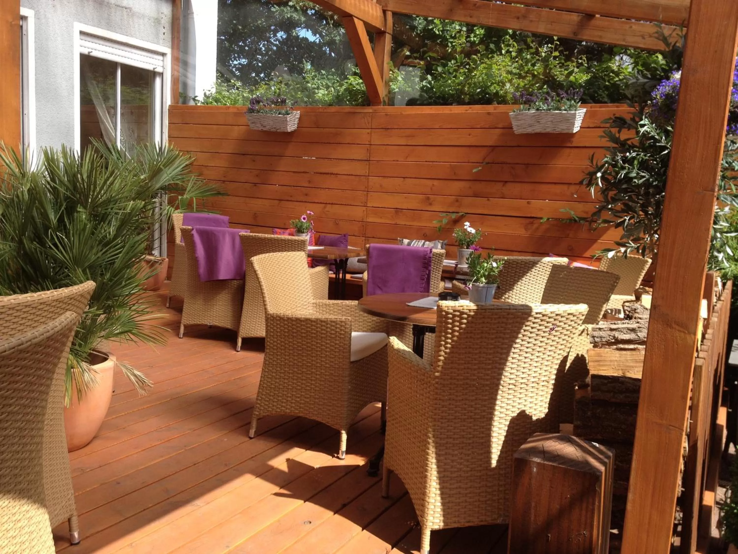 Garden, Restaurant/Places to Eat in Hotel am Bergl