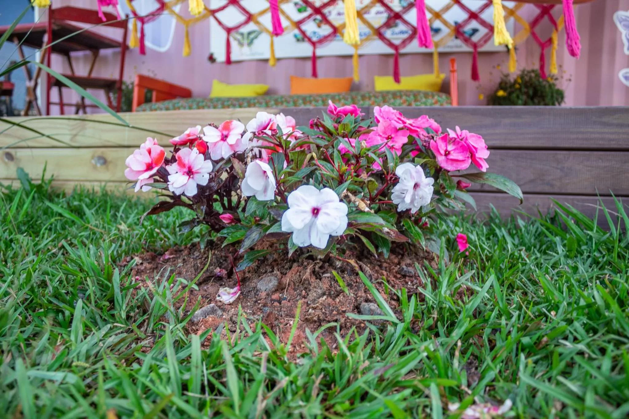 Property Building in Pousada OceAnas Frente Mar Estaleiro