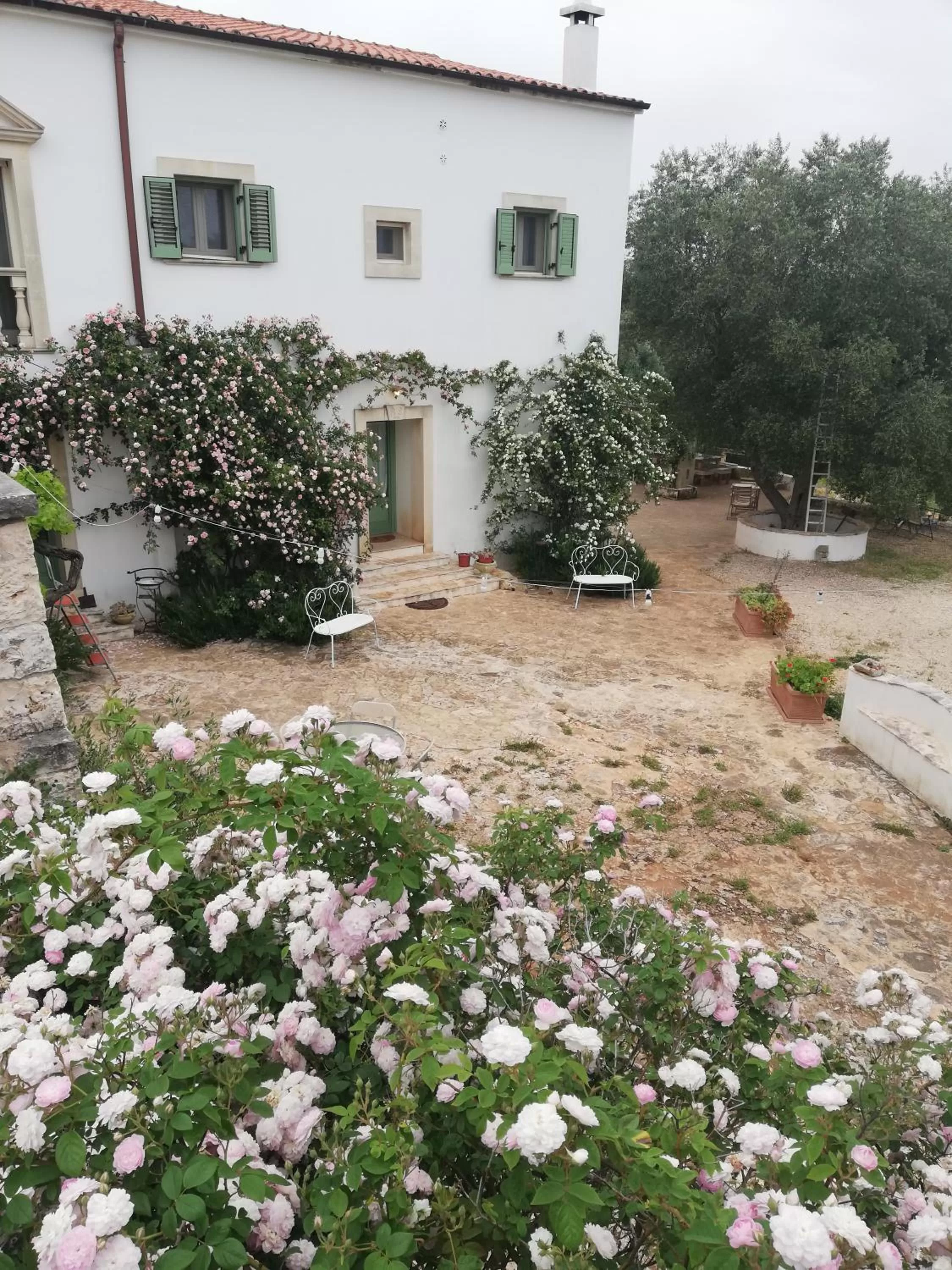 Property Building in B&B Giovannarolla Green House