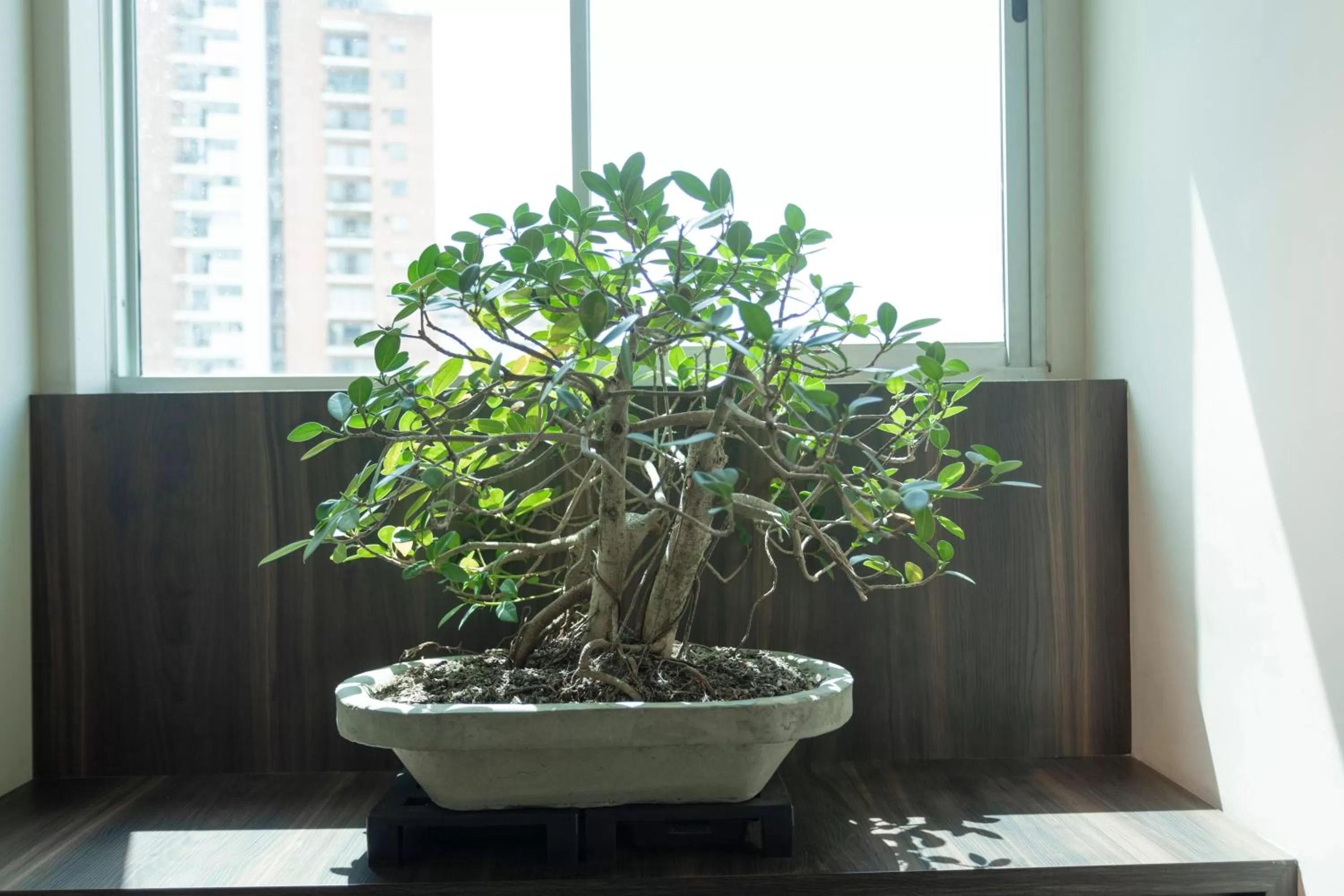 Decorative detail in 1616 Hotel