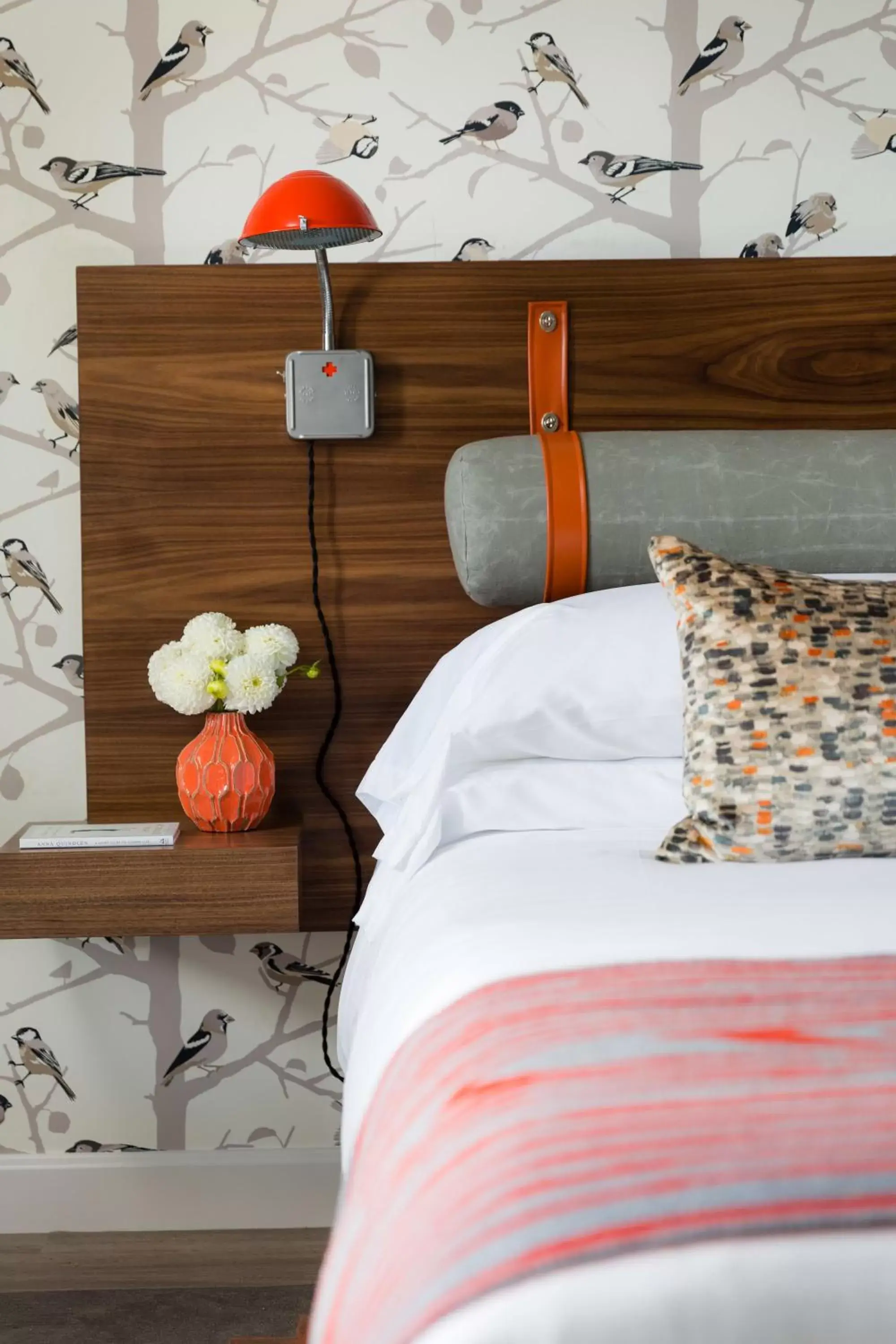 Queen Room in Field Guide Lodge Queen Room in Field Guide Lodge