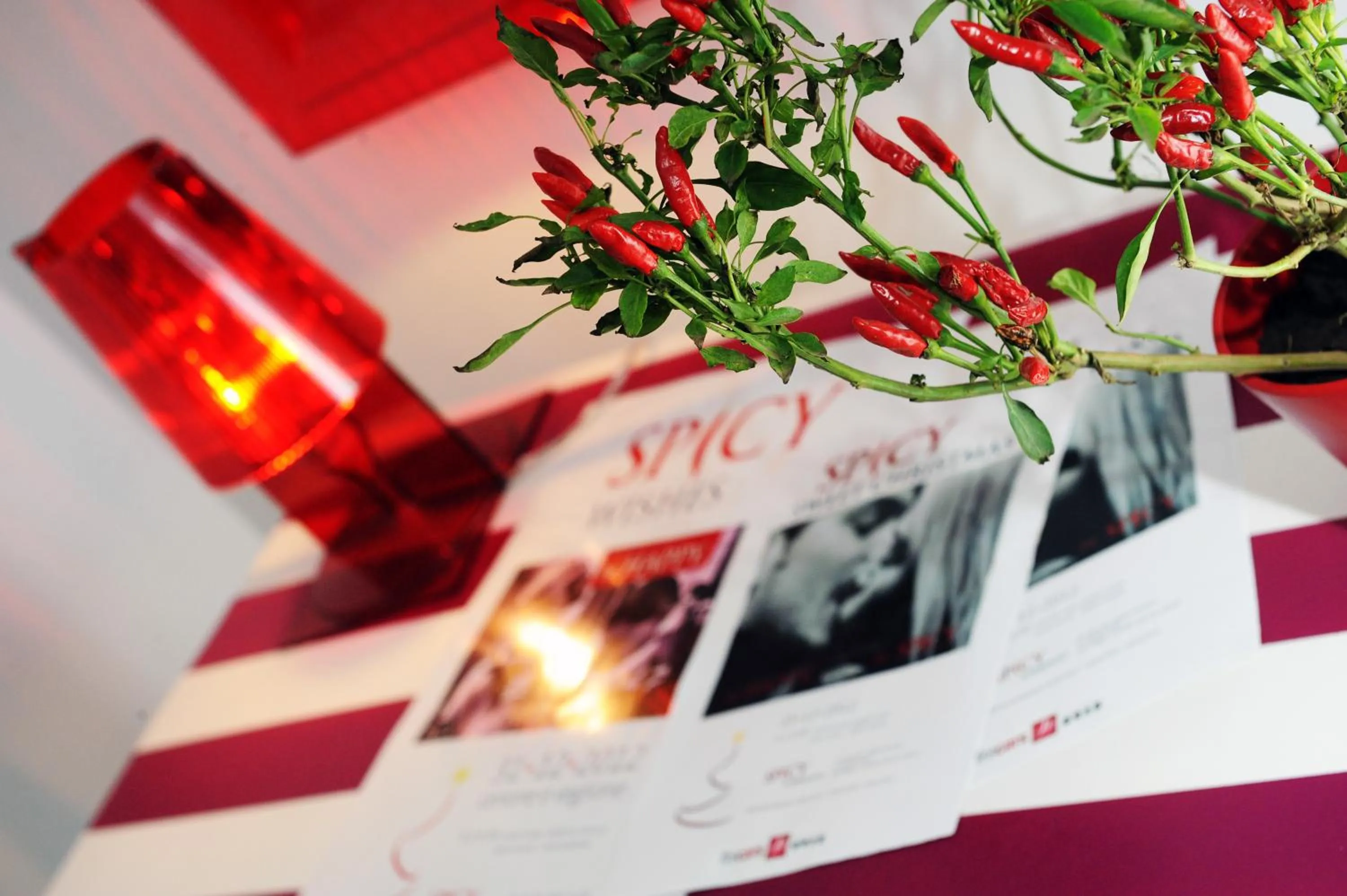 Decorative detail in Hotel Spicy