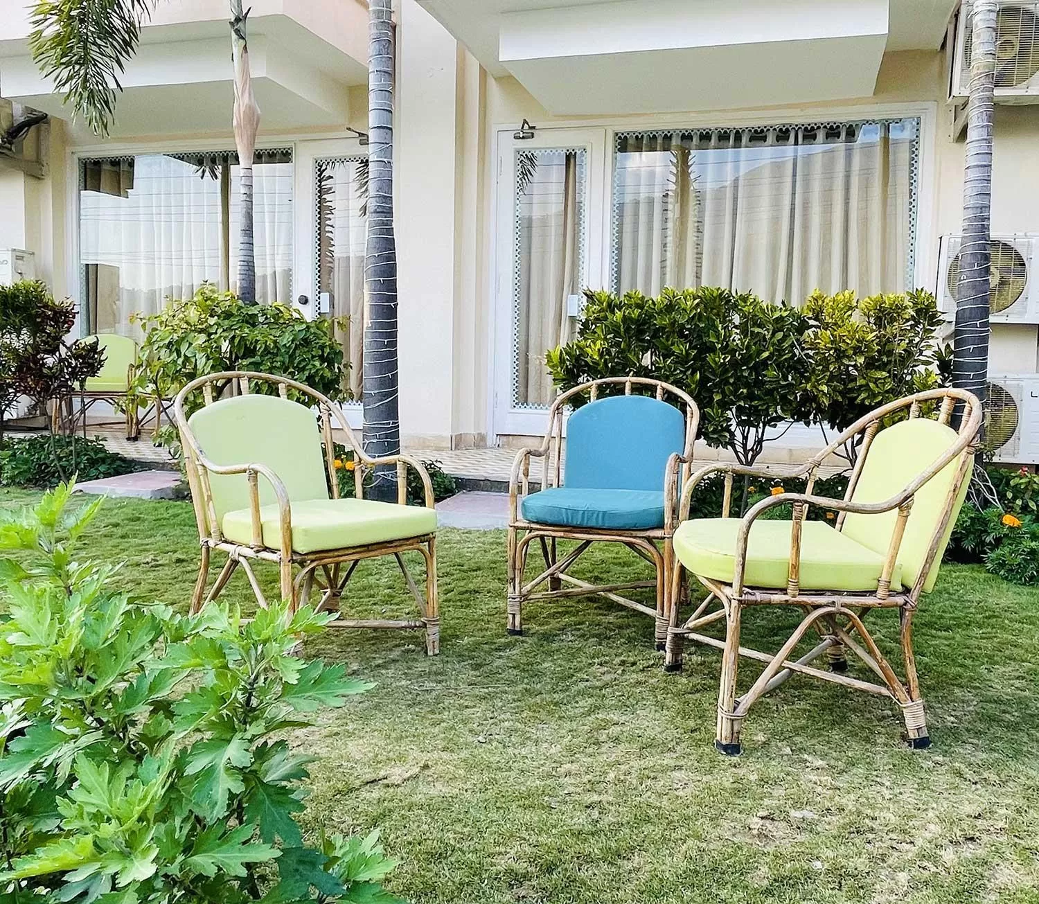 Garden in Yog Niketan By Sanskriti