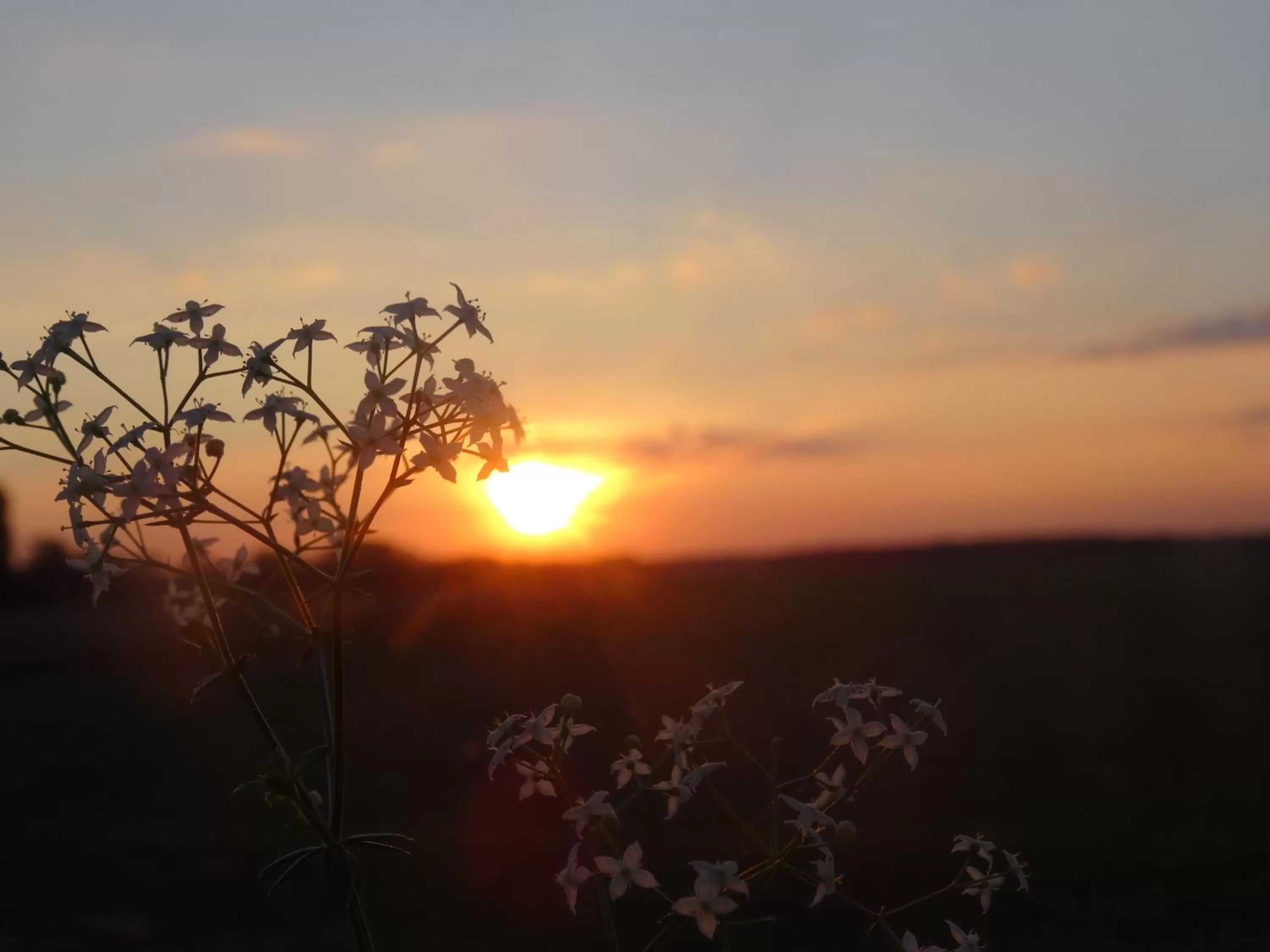 Other in Villa La Clef Des Champs
