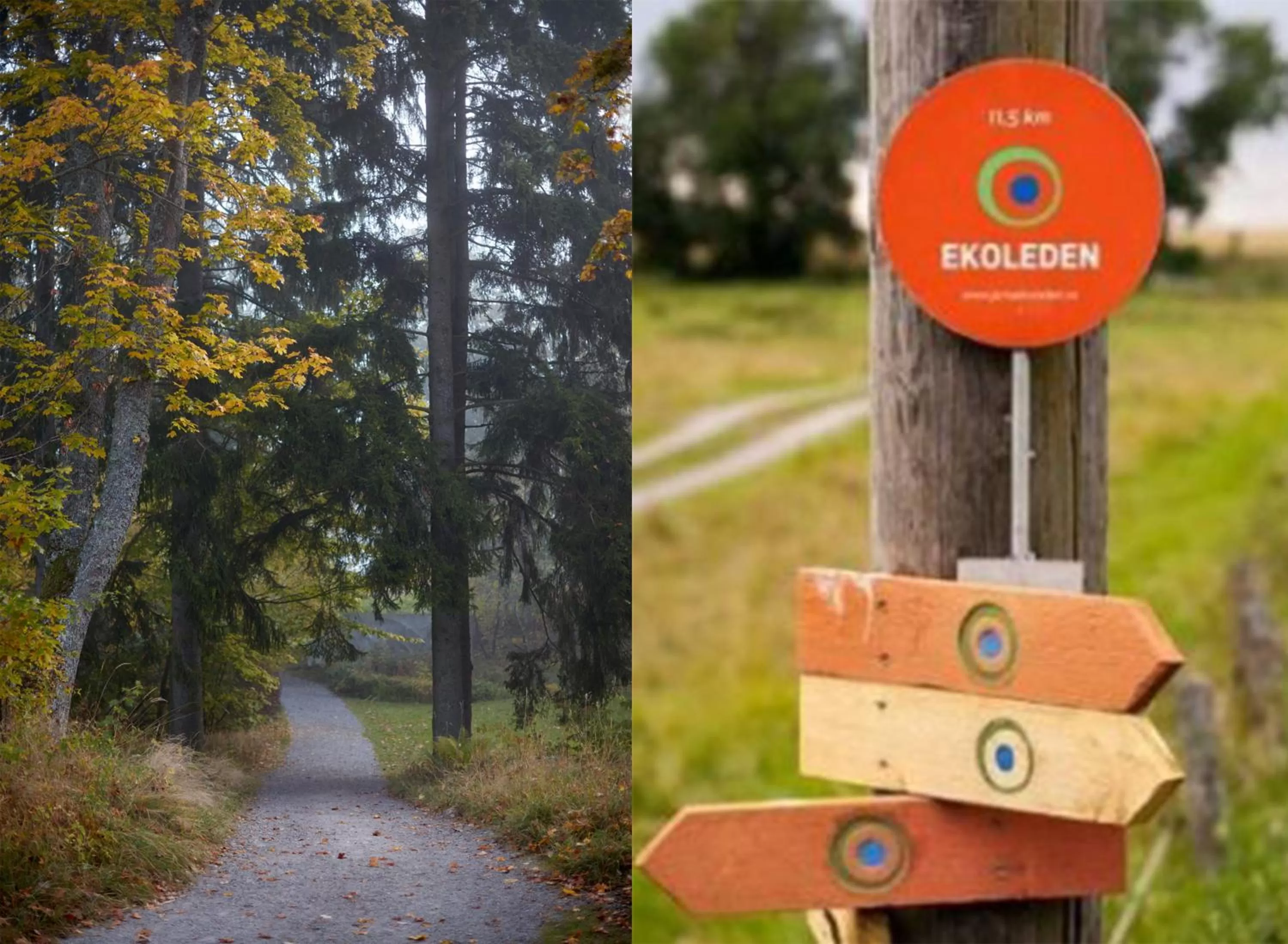 Natural landscape in Ytterjärna Hotell & Konferens