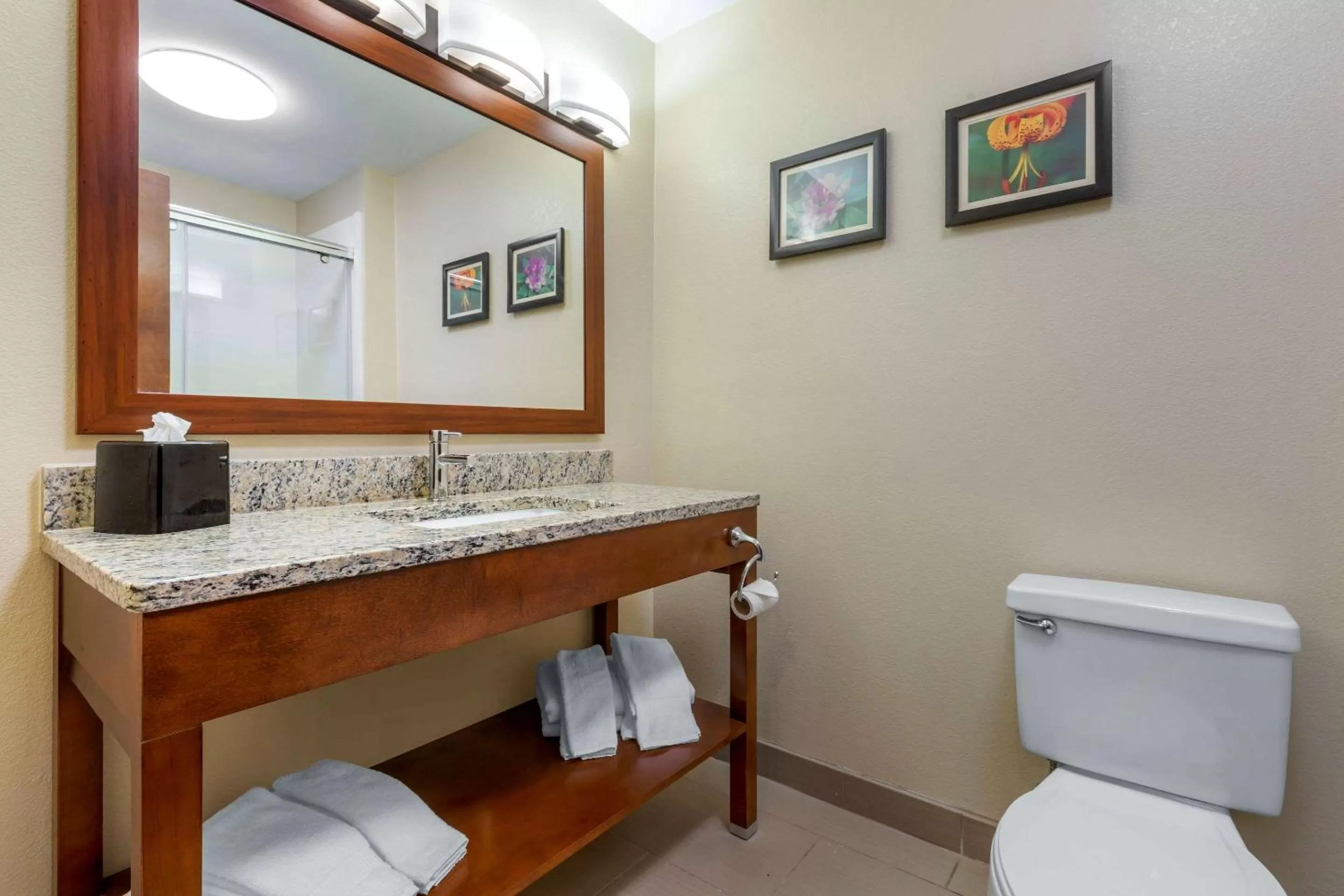 Photo of the whole room in Comfort Inn & Suites Lenoir Hwy 321 Northern Foothills