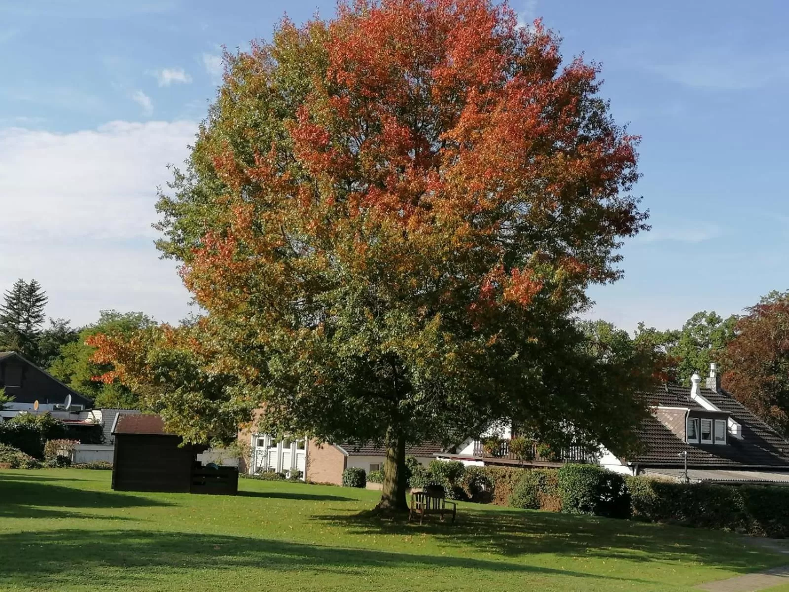 Garden in Hotel Haus Hildegard - Garni 3 Sterne superior