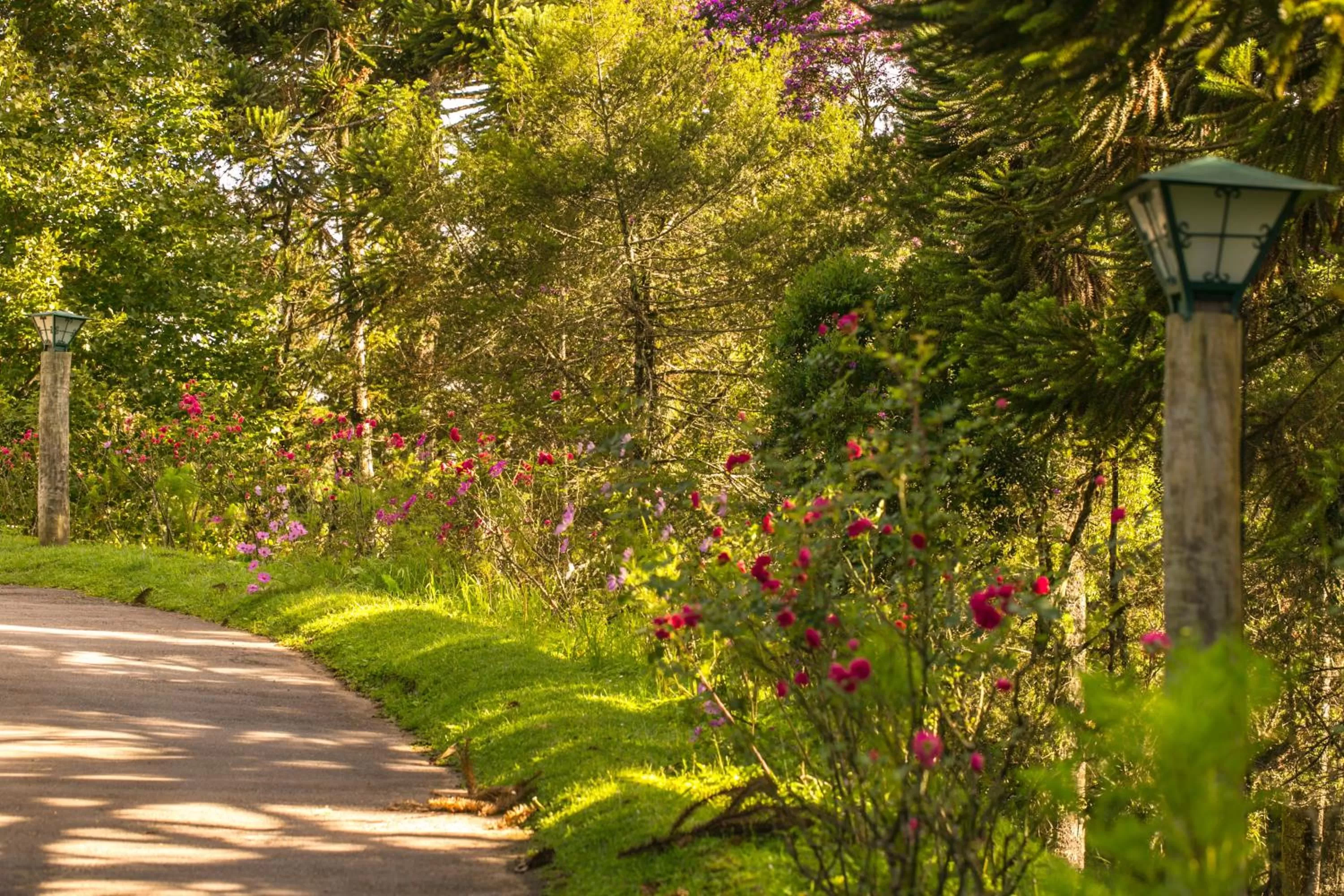 Spring in Hotel Toriba