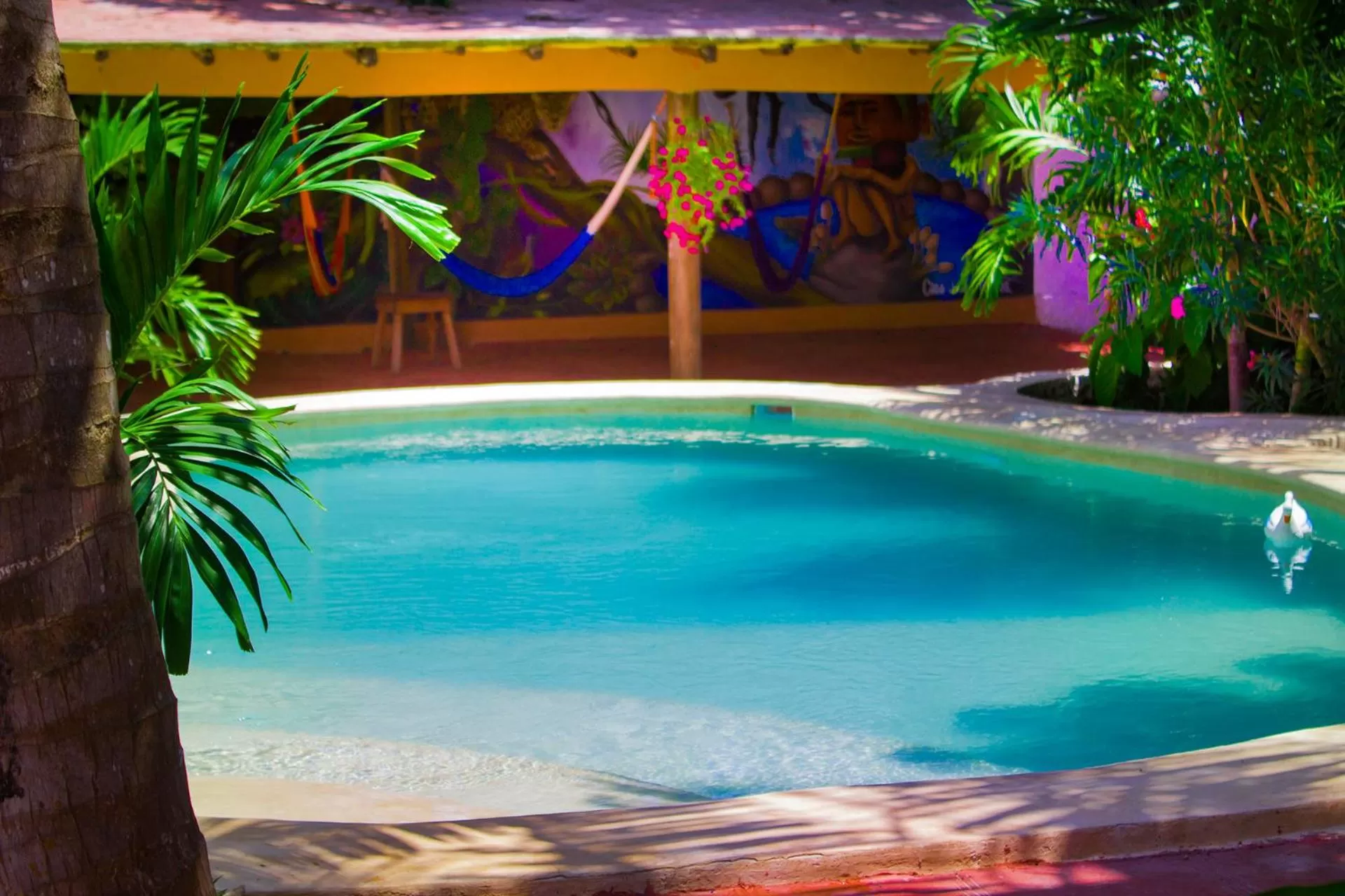 Garden in Casa De Los Pájaros - B&B