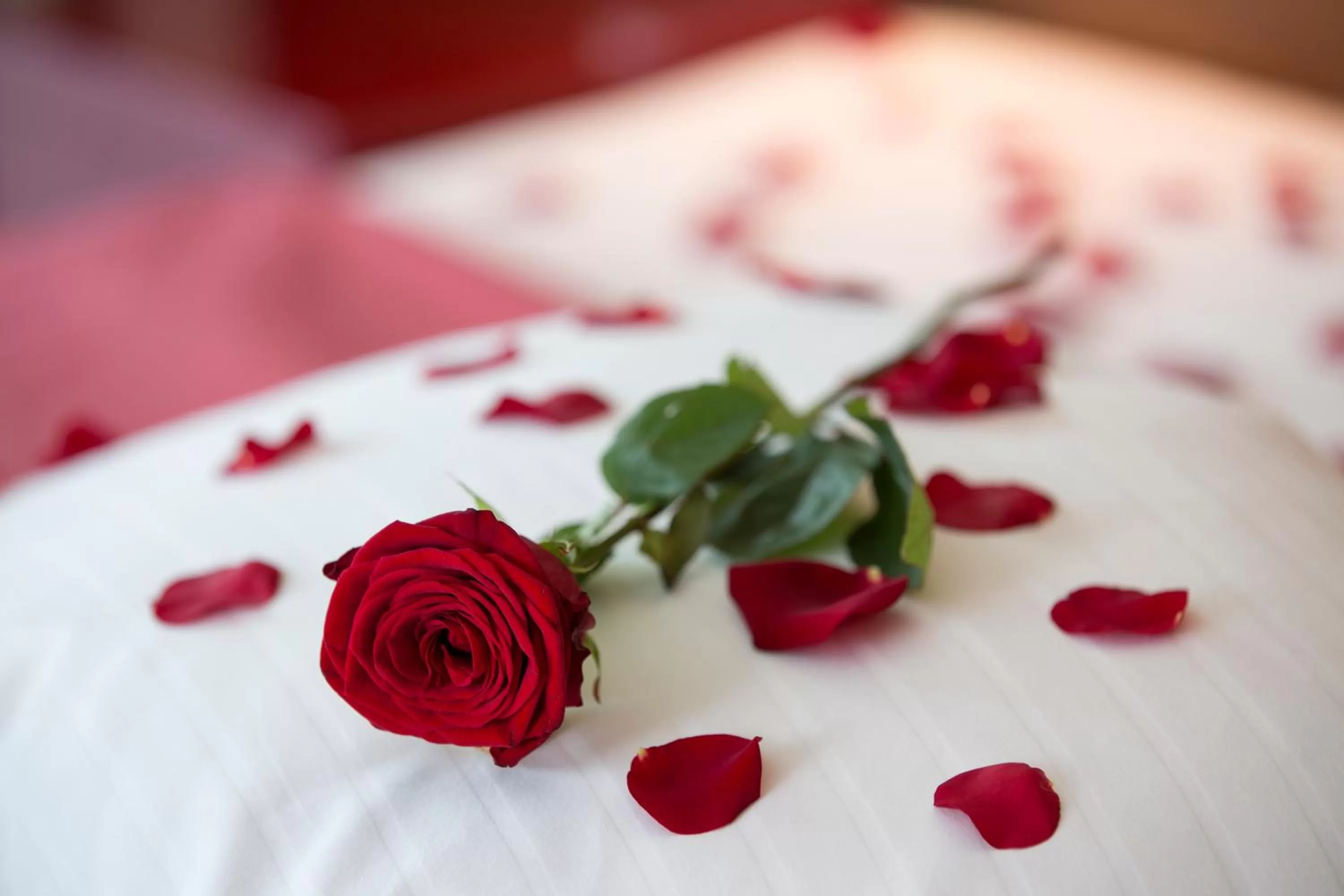 wedding, Bed in Asia Hotel & Spa Leoben