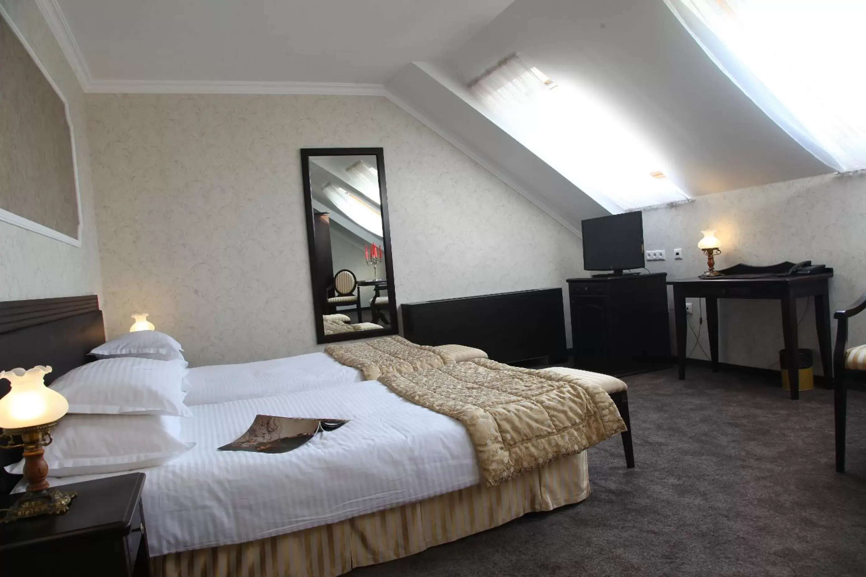 Double Room - single occupancy in Strimon Garden Medical SPA Hotel Double Room - single occupancy in Strimon Garden Medical SPA Hotel