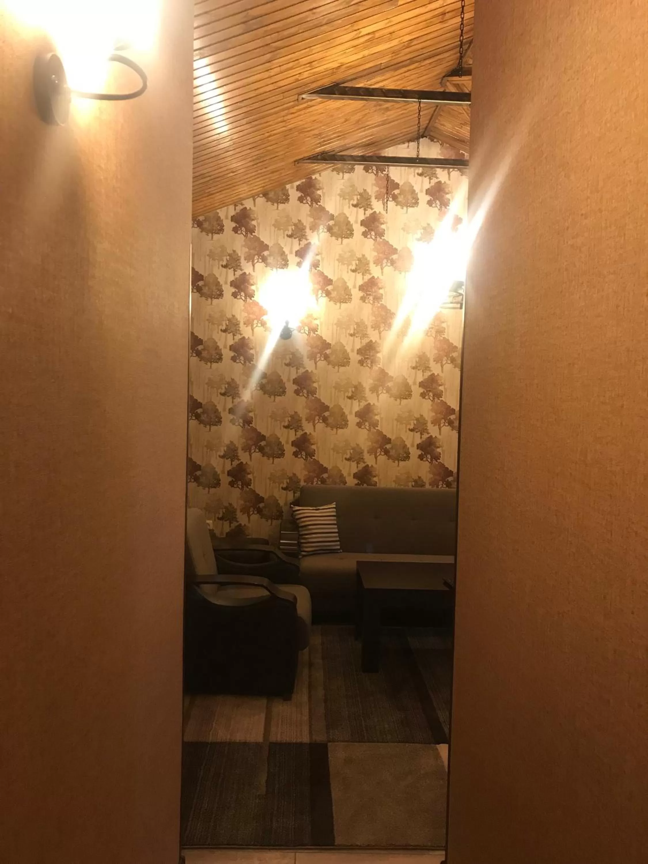 Kitchen or kitchenette, Bathroom in Eridana Hotel