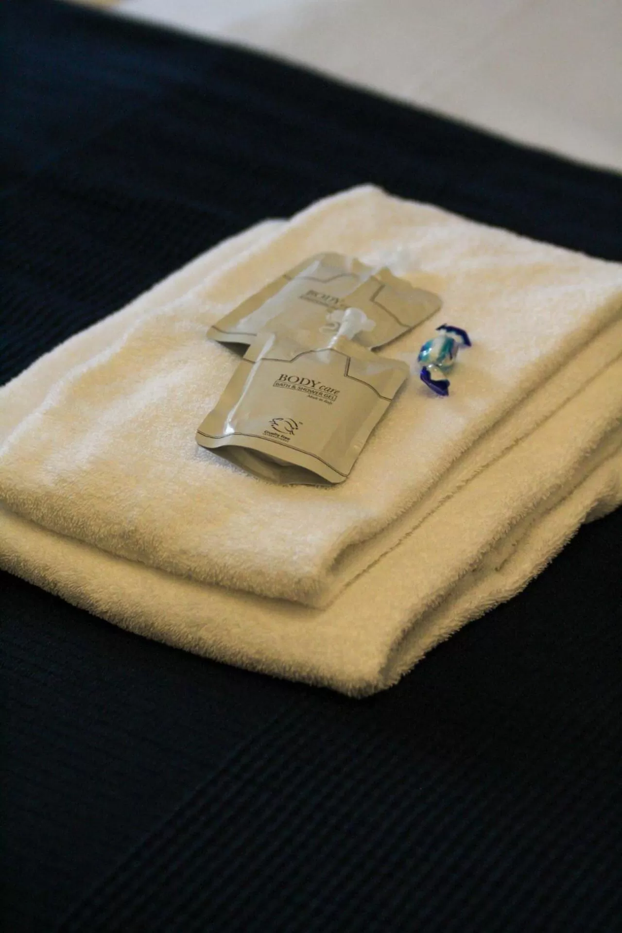 towels in Hotel Brasserie Florian