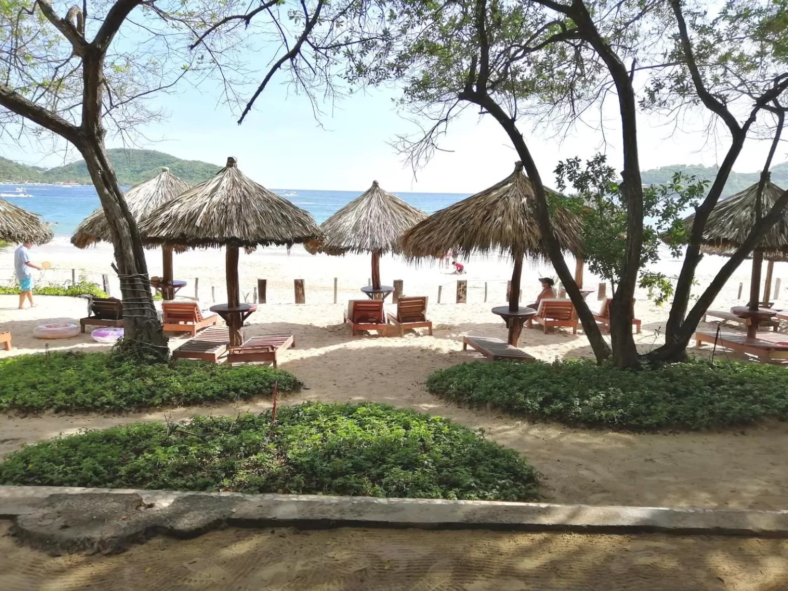 Natural landscape in Hotel Catalina Beach Resort