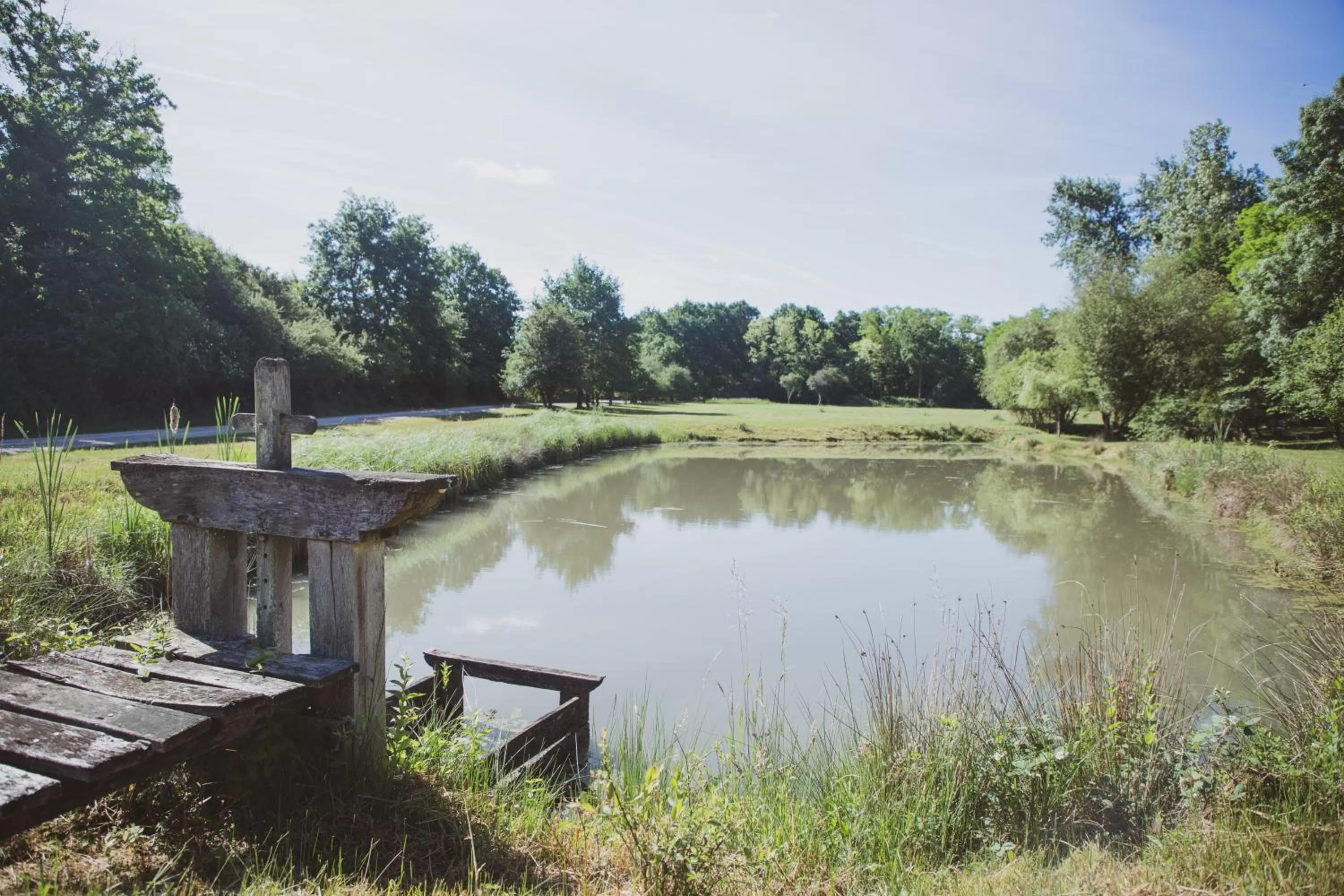 Garden in Domaine de Montizeau