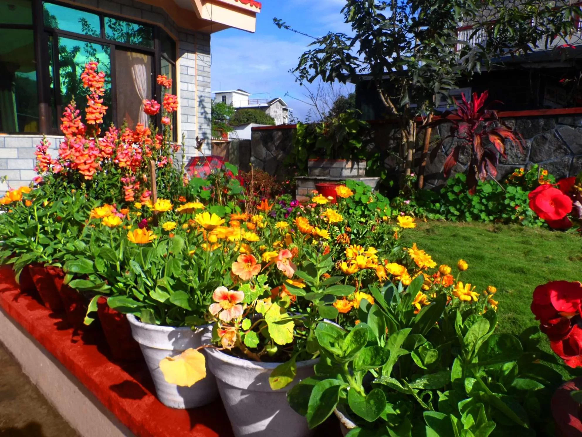 Spring, Property Building in Hotel Diplomat