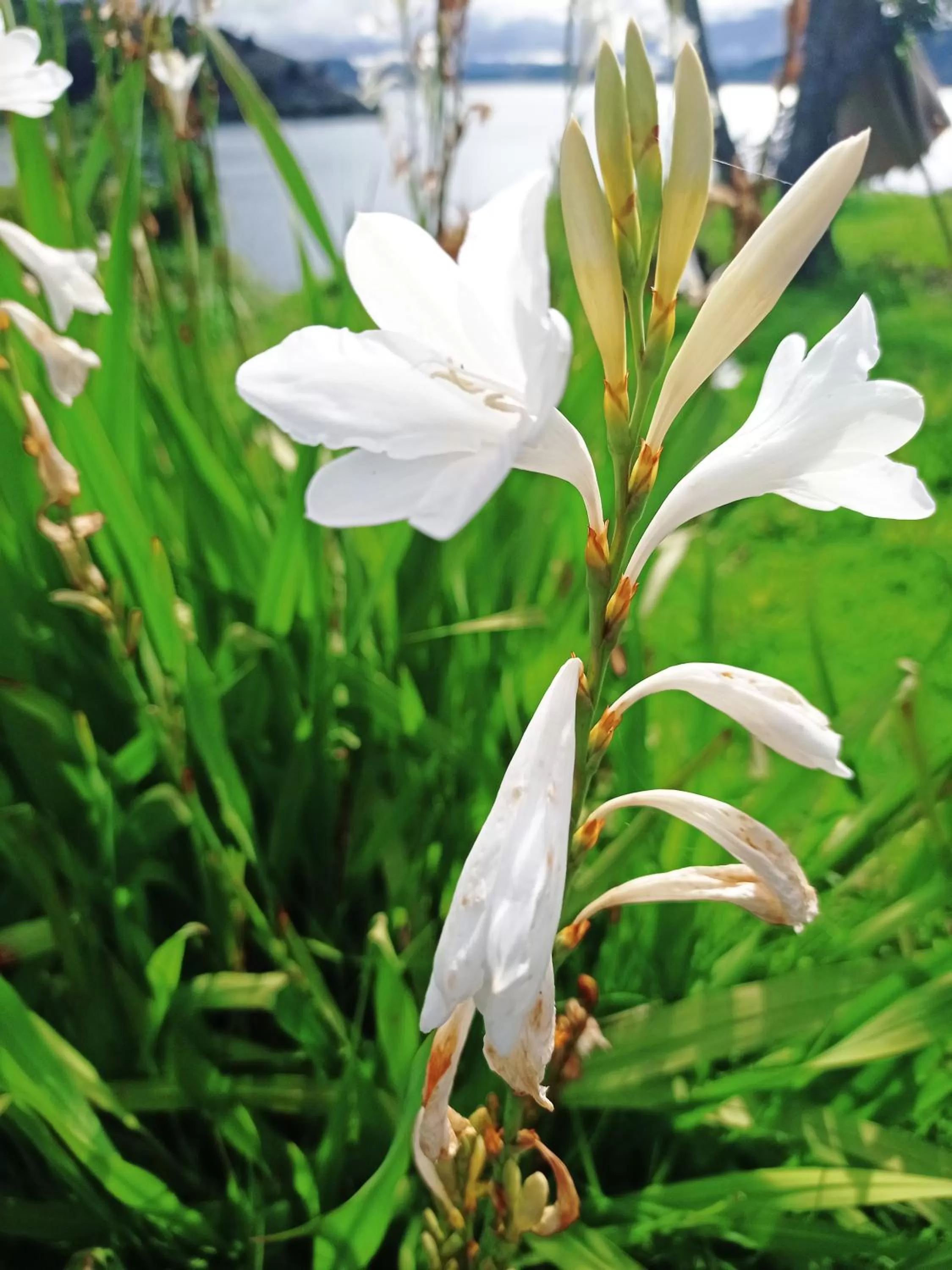 Hotel Refugio Pozo Azul