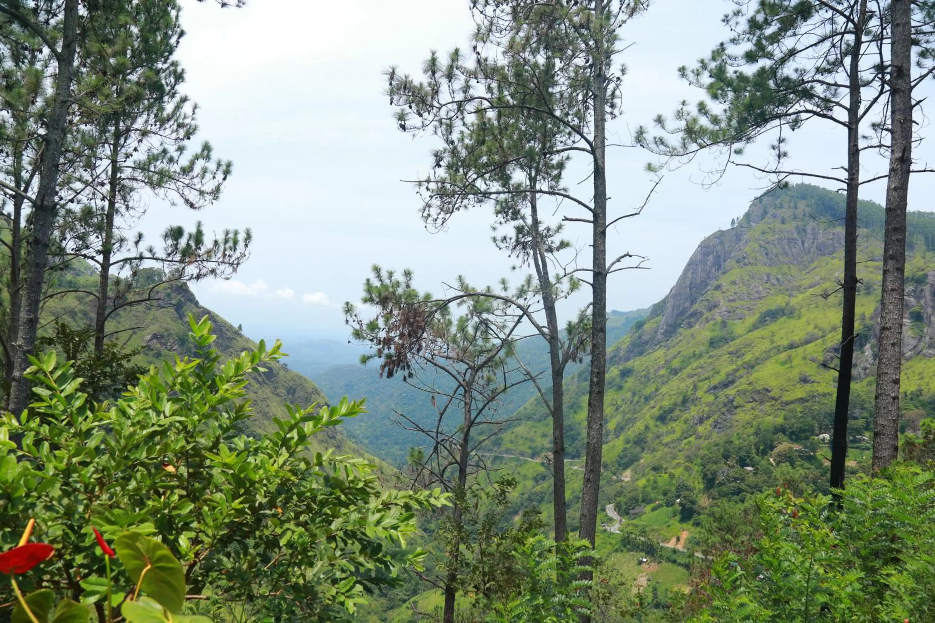 Natural Landscape in Dream view