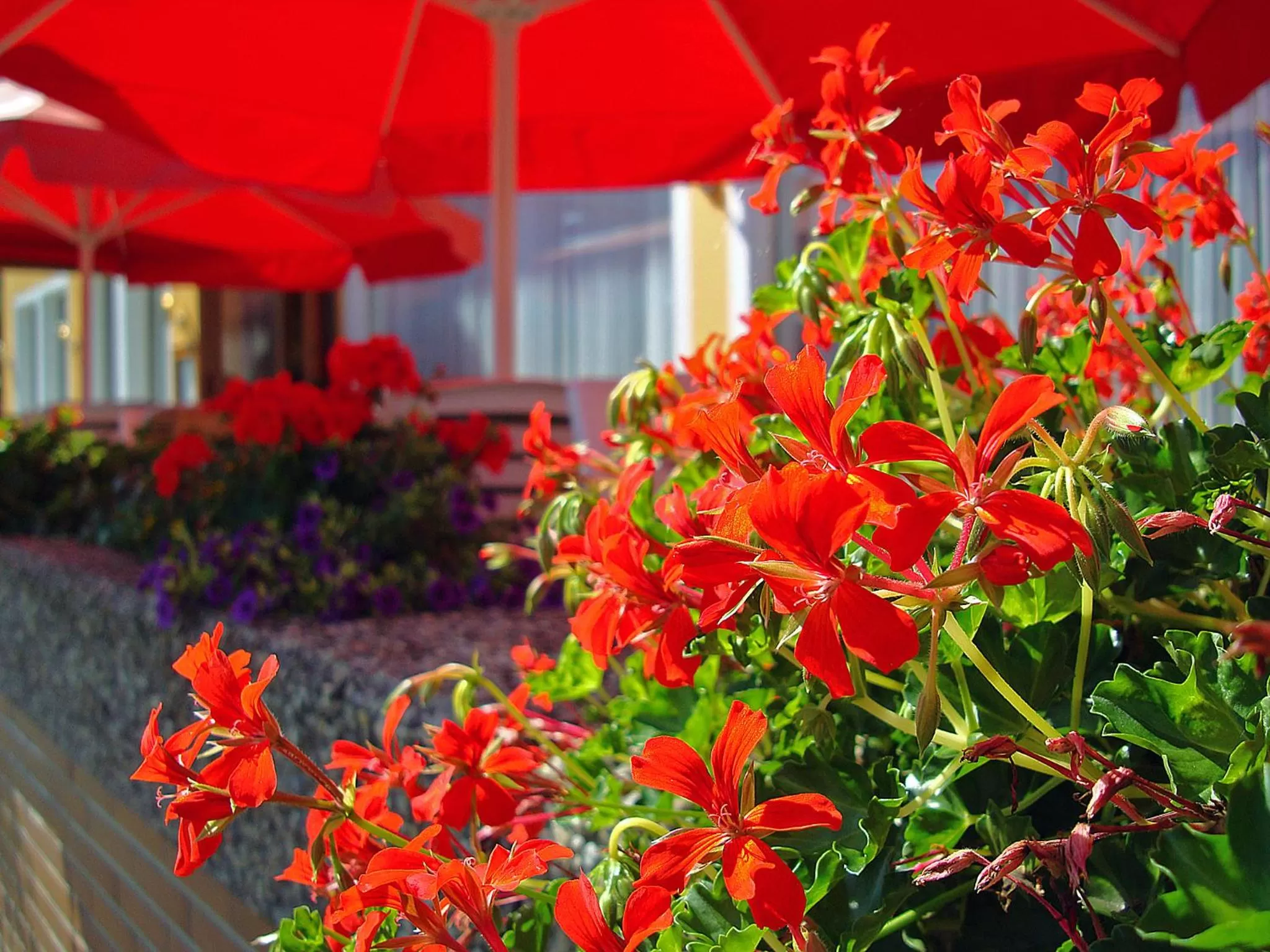 Other in Hotel Cafe Restaurant Loreleyblick