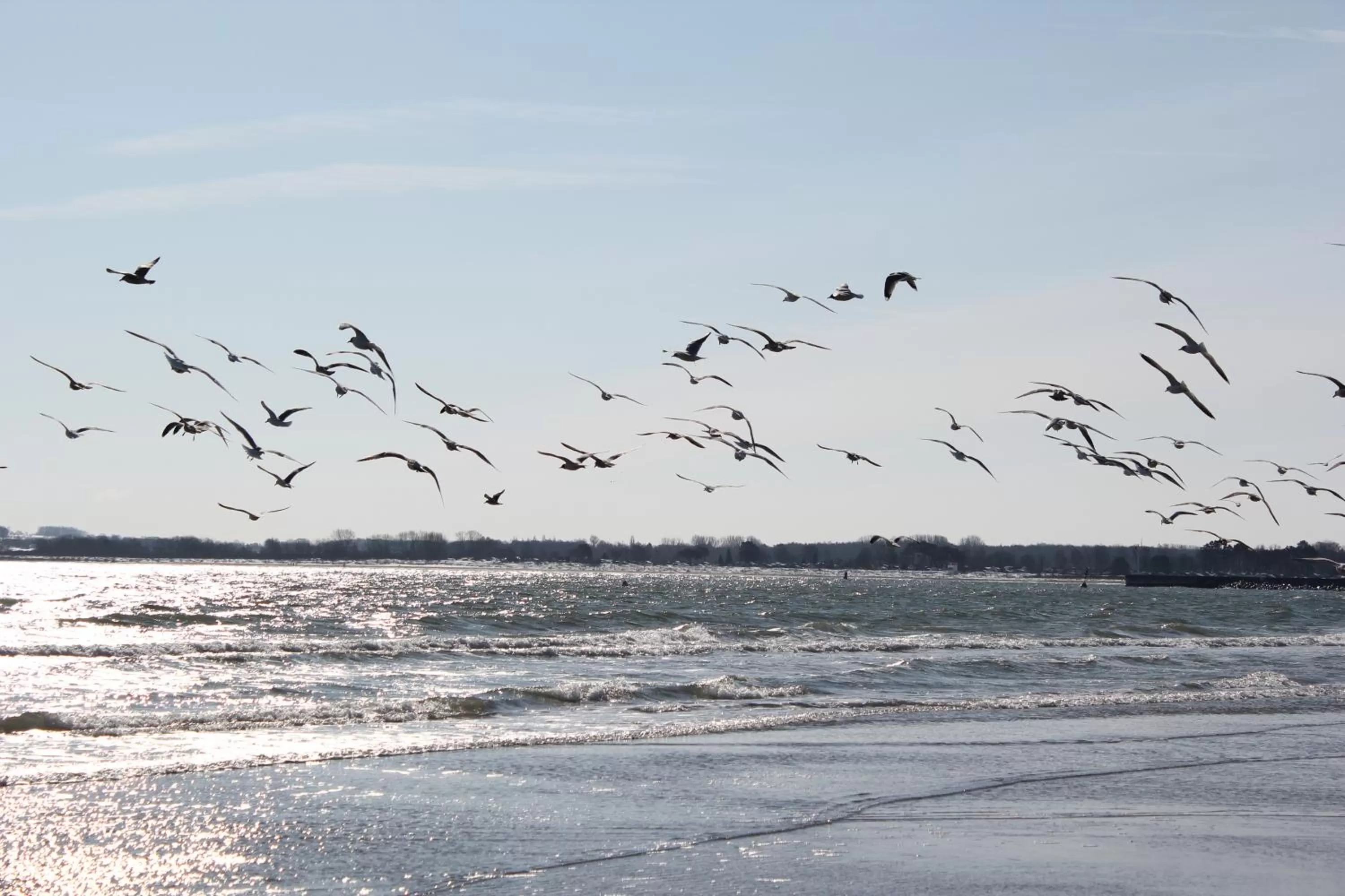 Villa WellenRausch - Adults Only