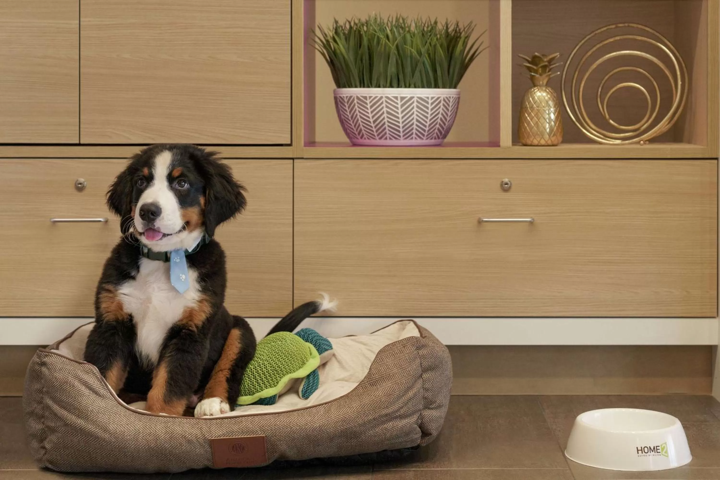 Lobby or reception in Home2 Suites By Hilton Ephrata