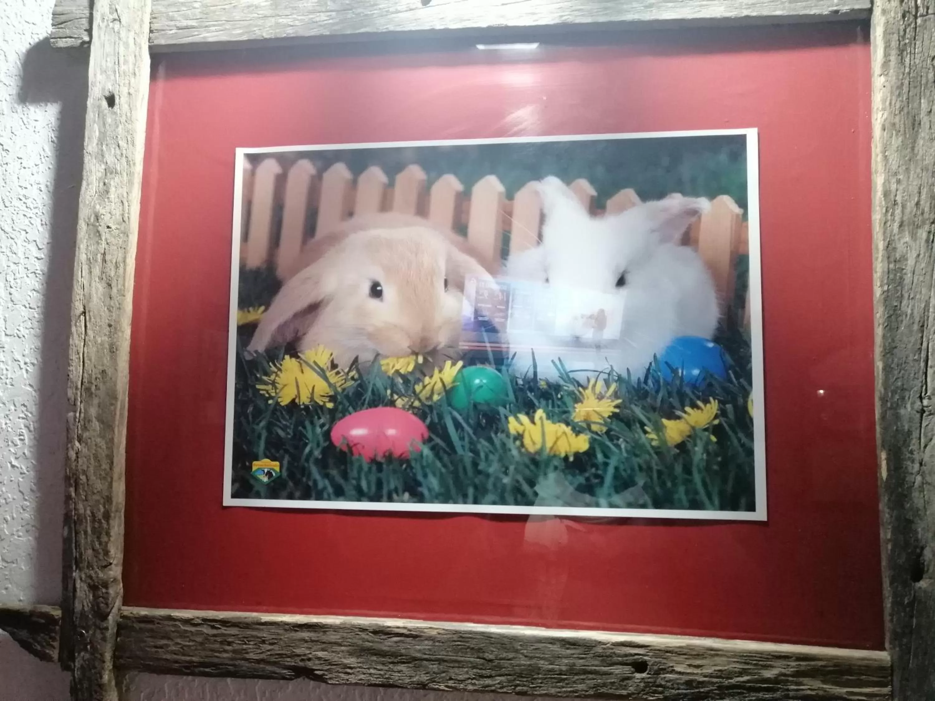Decorative detail in Estancia Renacimiento