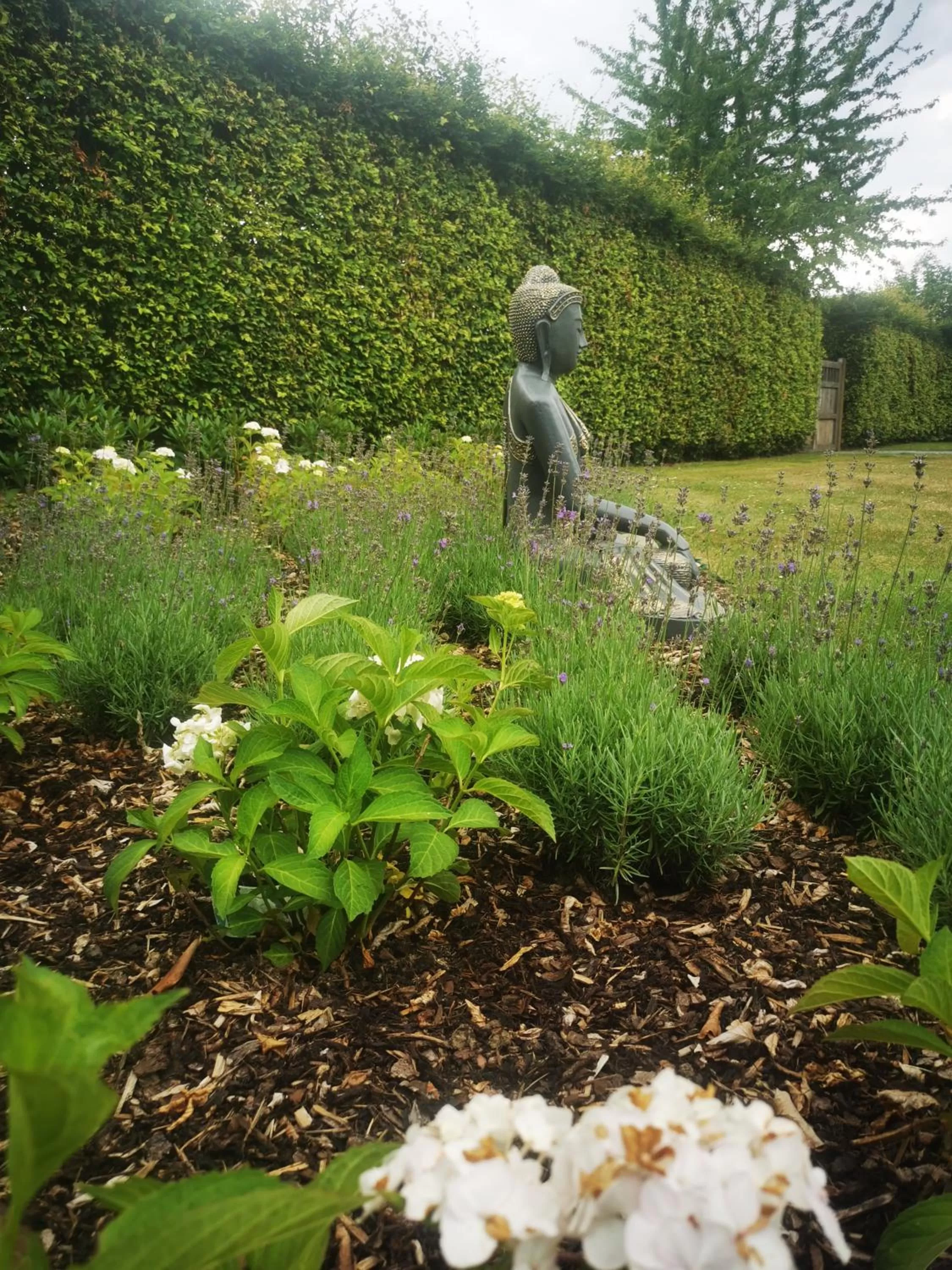 Garden in Bed & Bokes aan de Maaskant