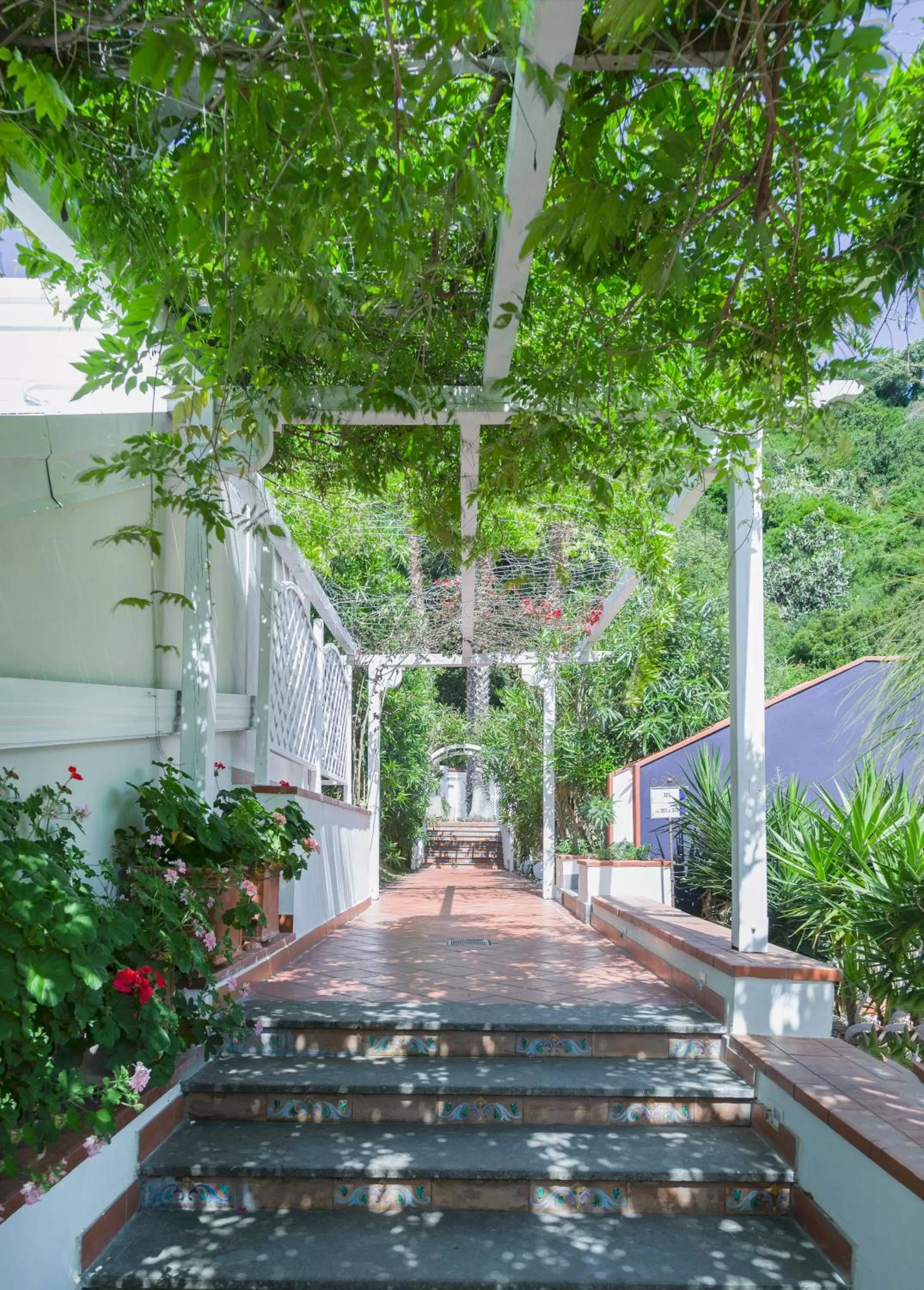 Patio in Agave Hotel