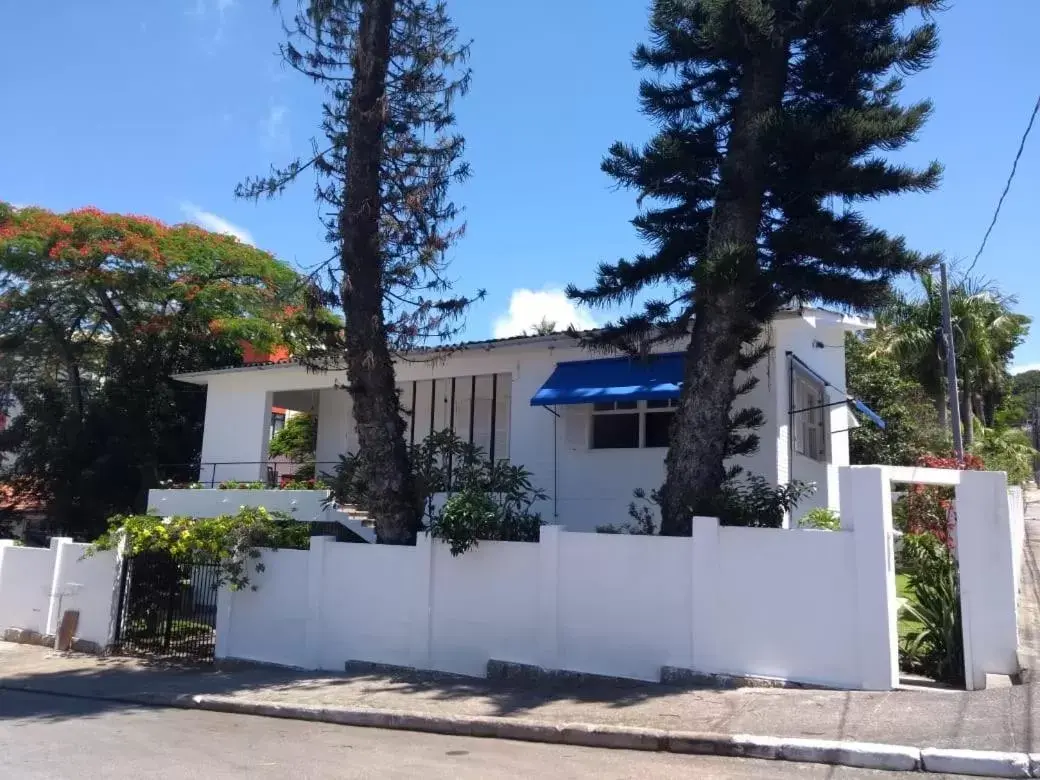 A Primeira Vista A Primeira Vista