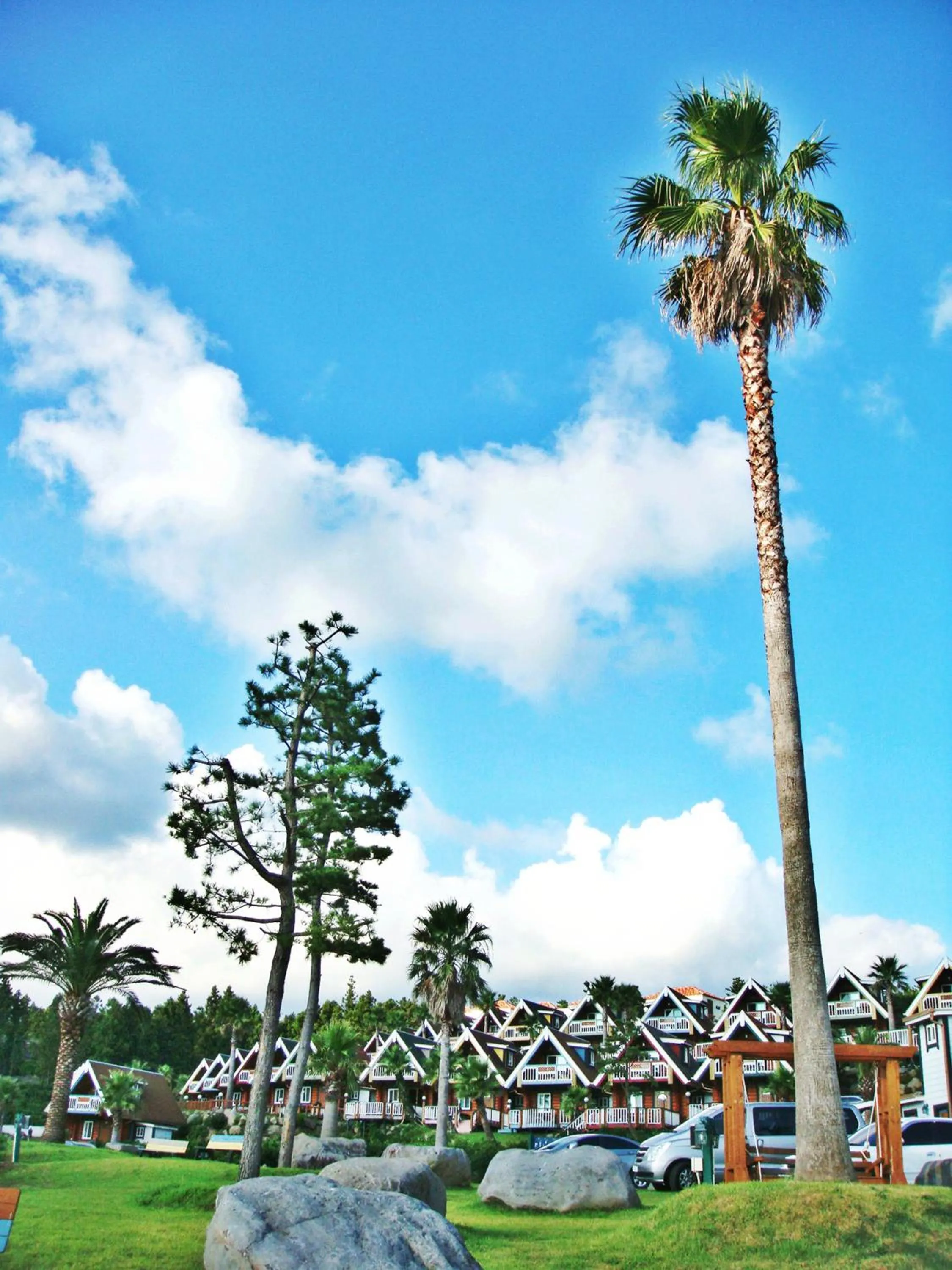 View (from property/room) in Jungmun Log Pension & Resort