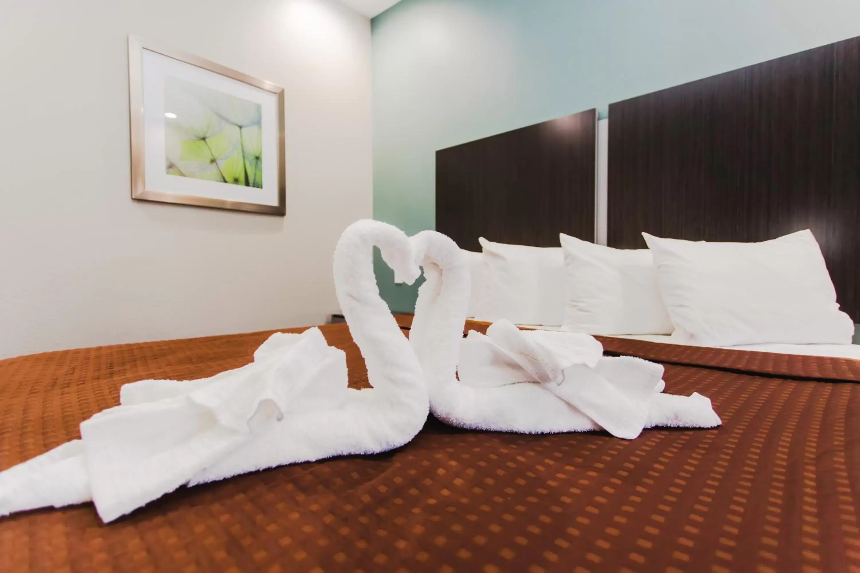 King Suite in Express Inn - Spring King Suite in Express Inn - Spring