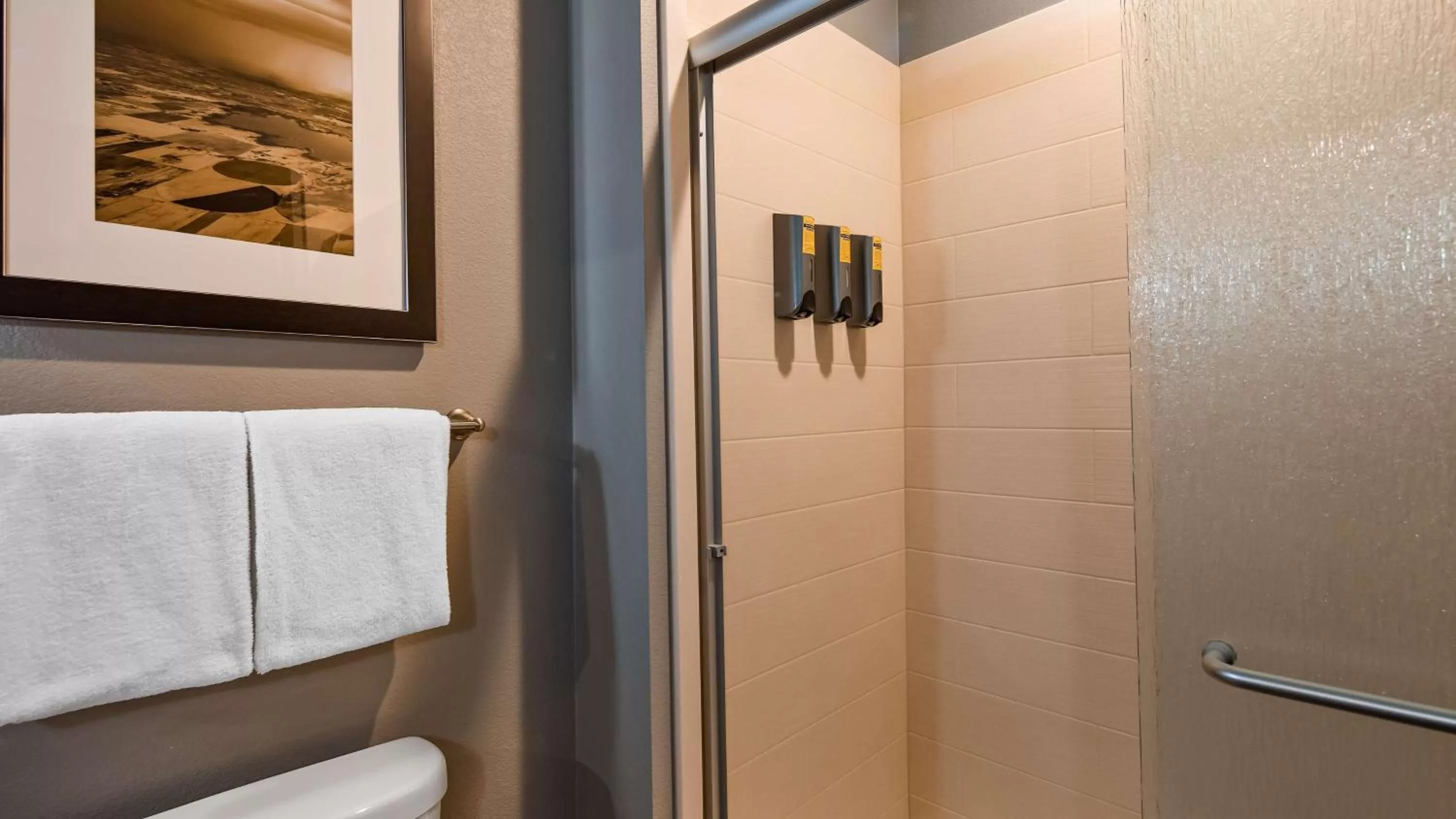 Bathroom in Best Western Plus Overland Inn