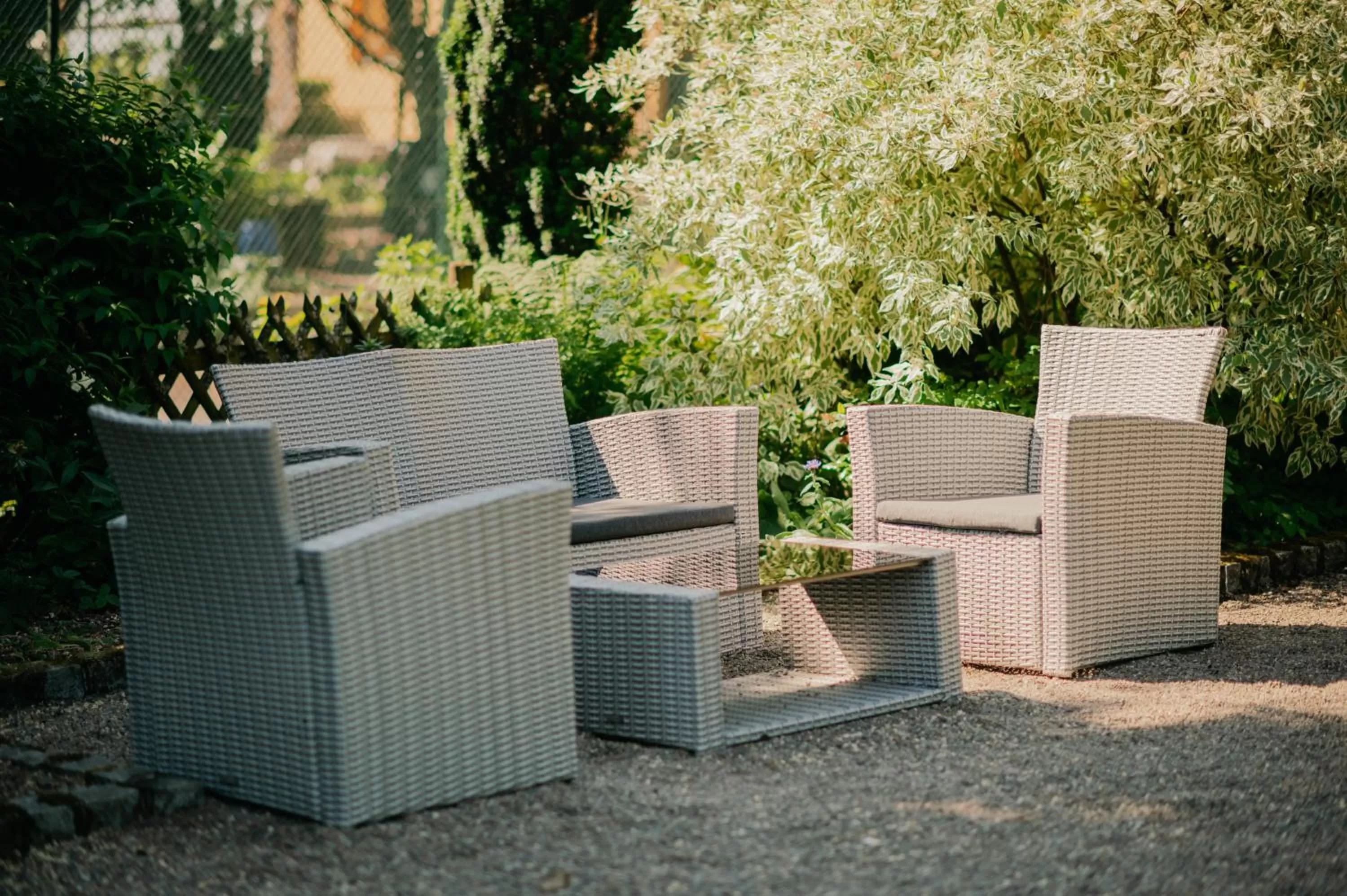 Garden in L'AO Hôtel & Restaurant L'Aigle d'Or