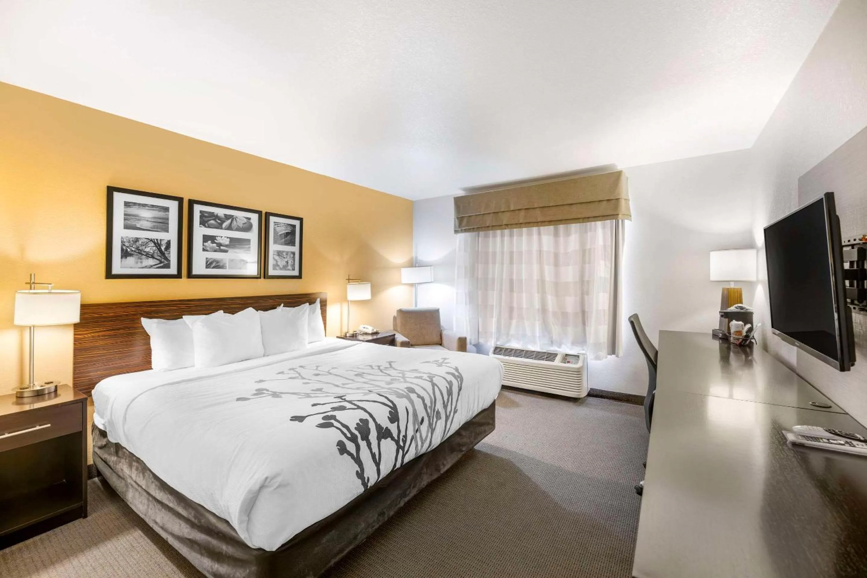 Bedroom, Bed in Sleep Inn & Suites Carlsbad Caverns Area