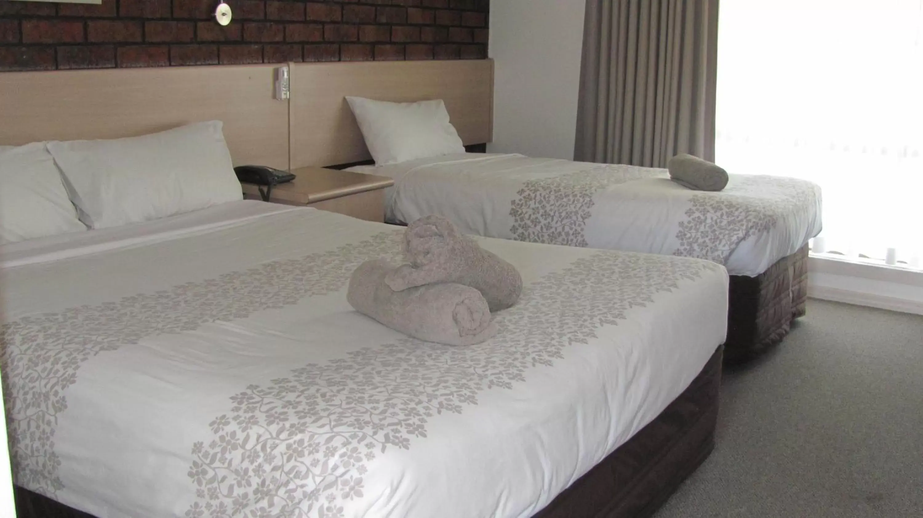 Standard Double or Twin Room - single occupancy in Bristol Hill Motor Inn Standard Double or Twin Room - single occupancy in Bristol Hill Motor Inn