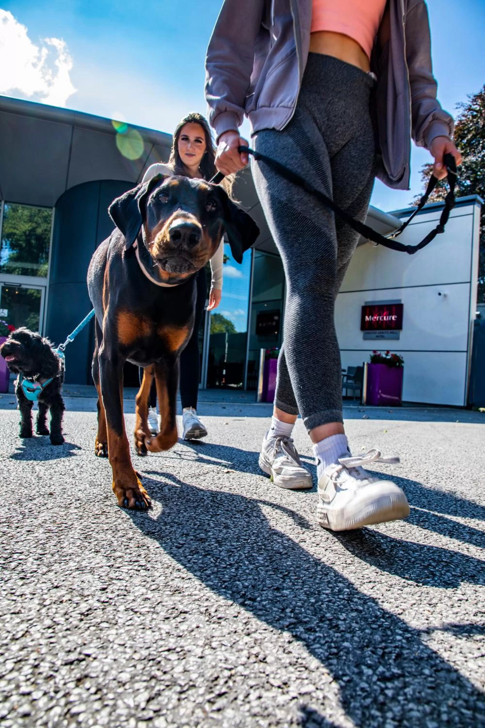 Pets in Mercure Chester Abbots Well Hotel