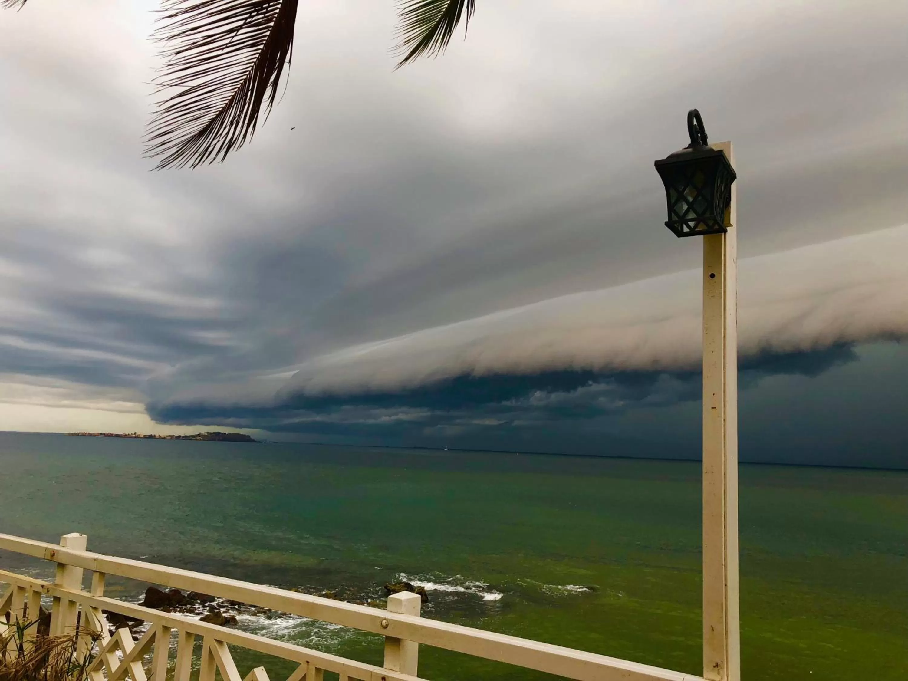 Natural landscape in Hotel Jardin Savana Dakar