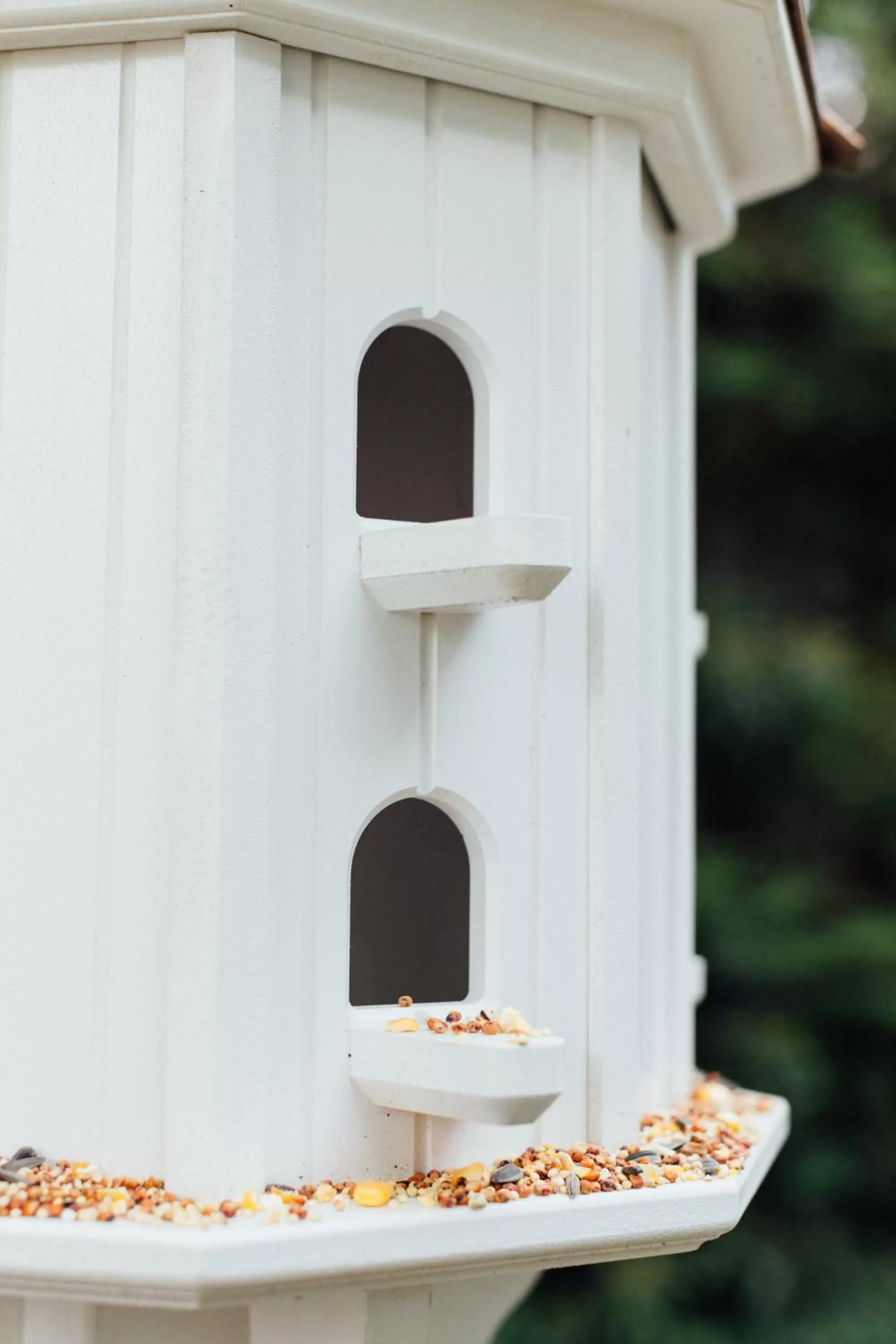 Animals in The Charleston Inn Hendersonville NC